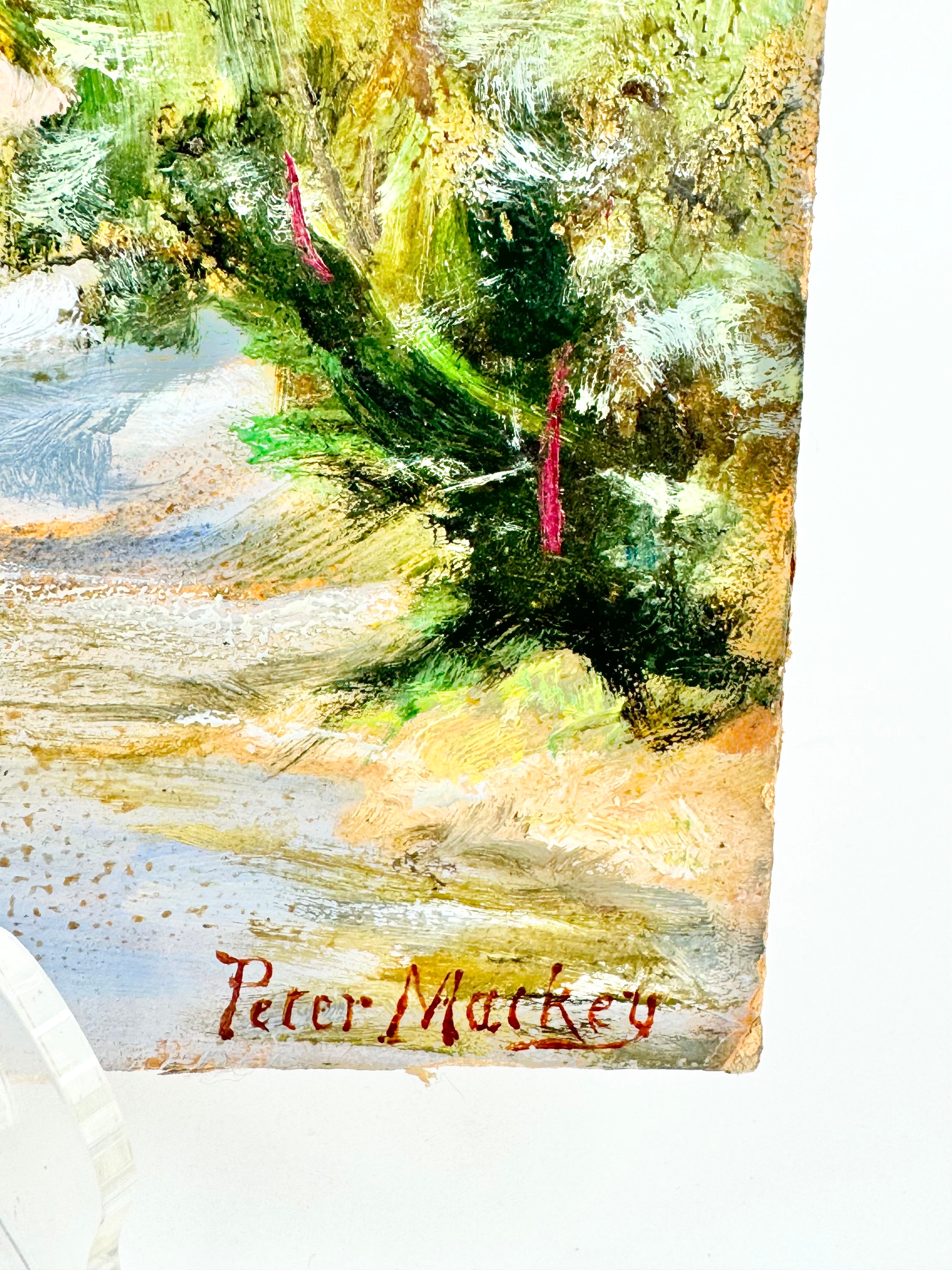 19th Century Australian Landscape by Peter Mackey River Oil Painting