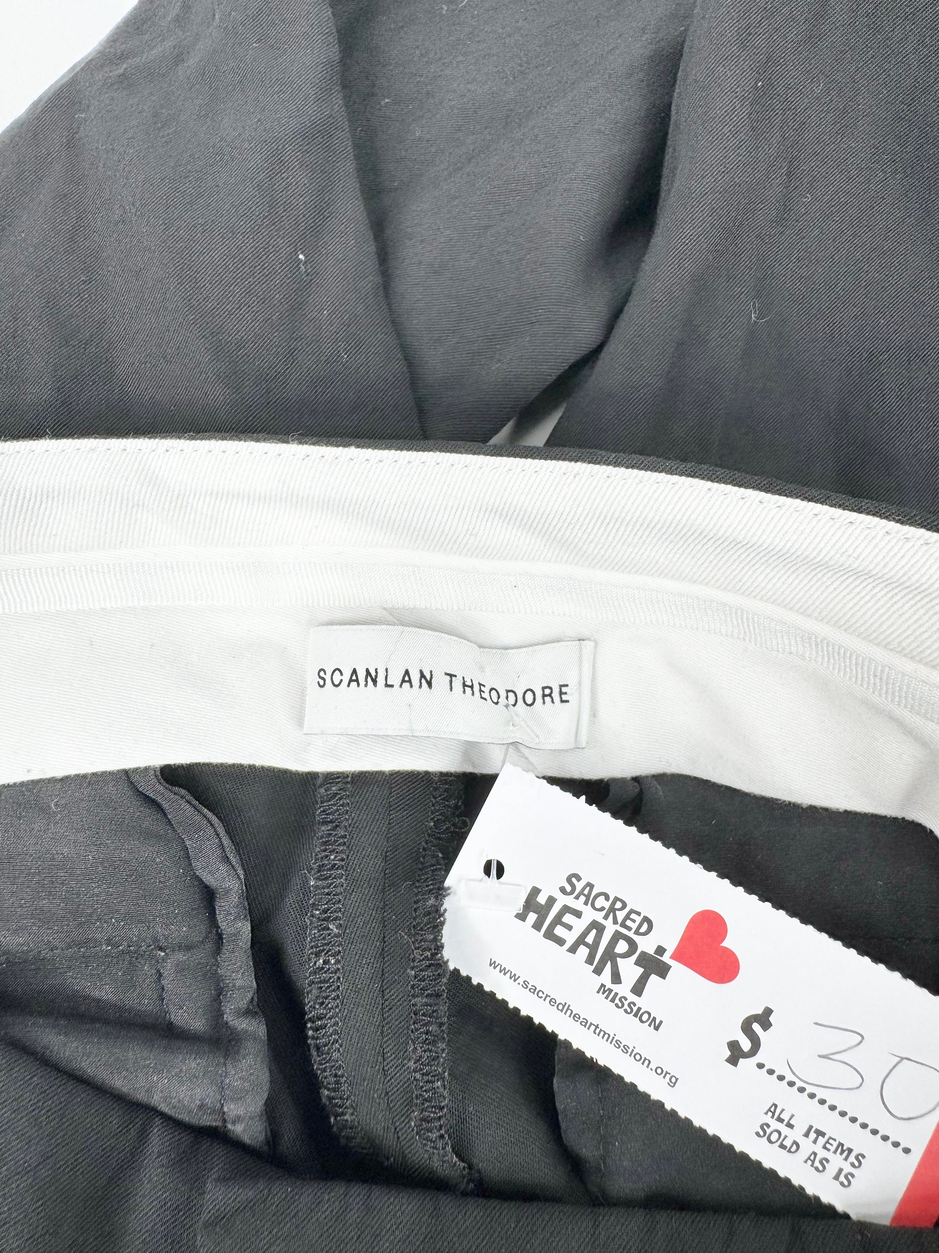 Scanlan Theodore Black Skinny Slacks - AU6
