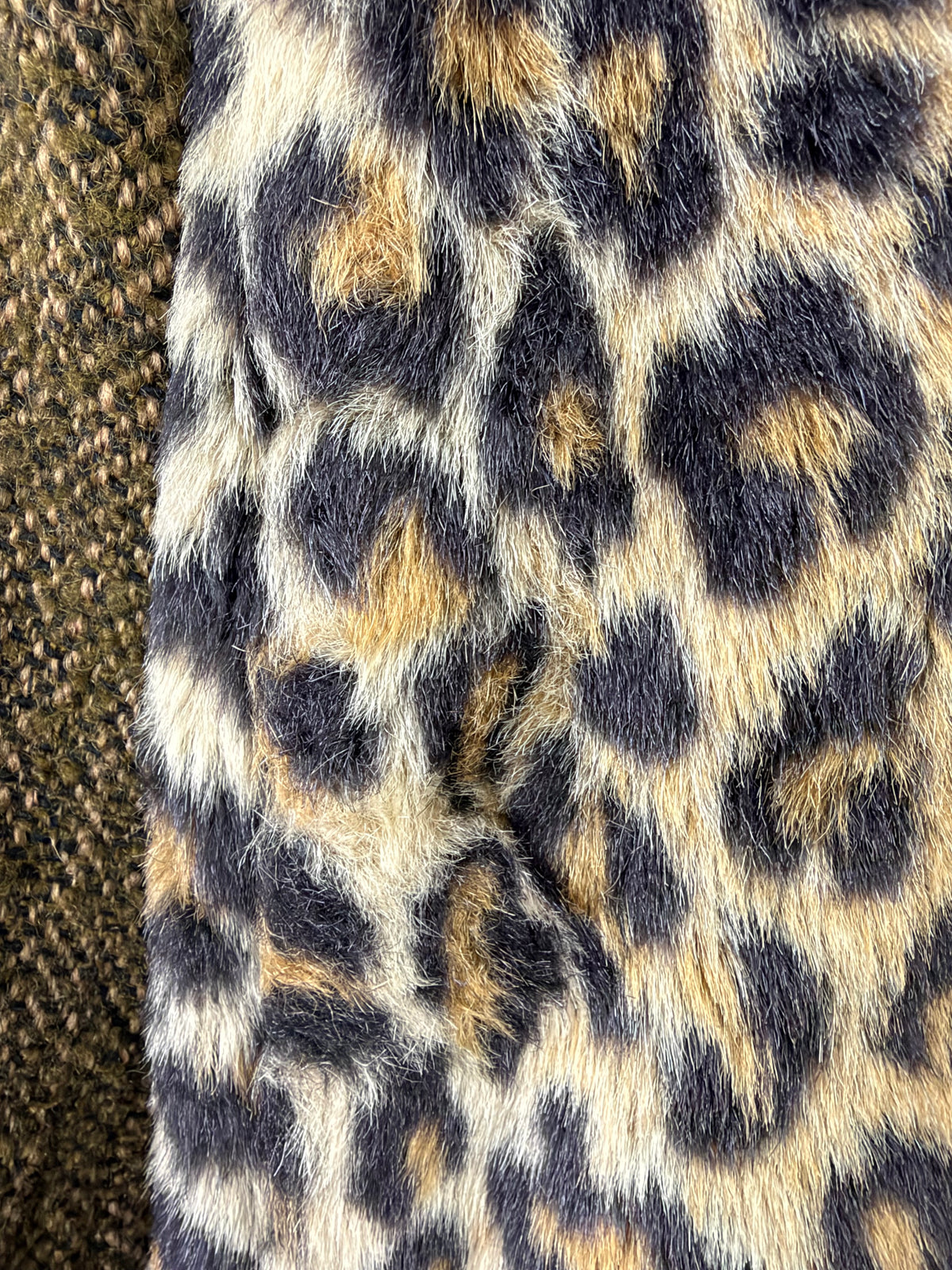 Scotch + Soda Faux Leopard Coat - AU10/12