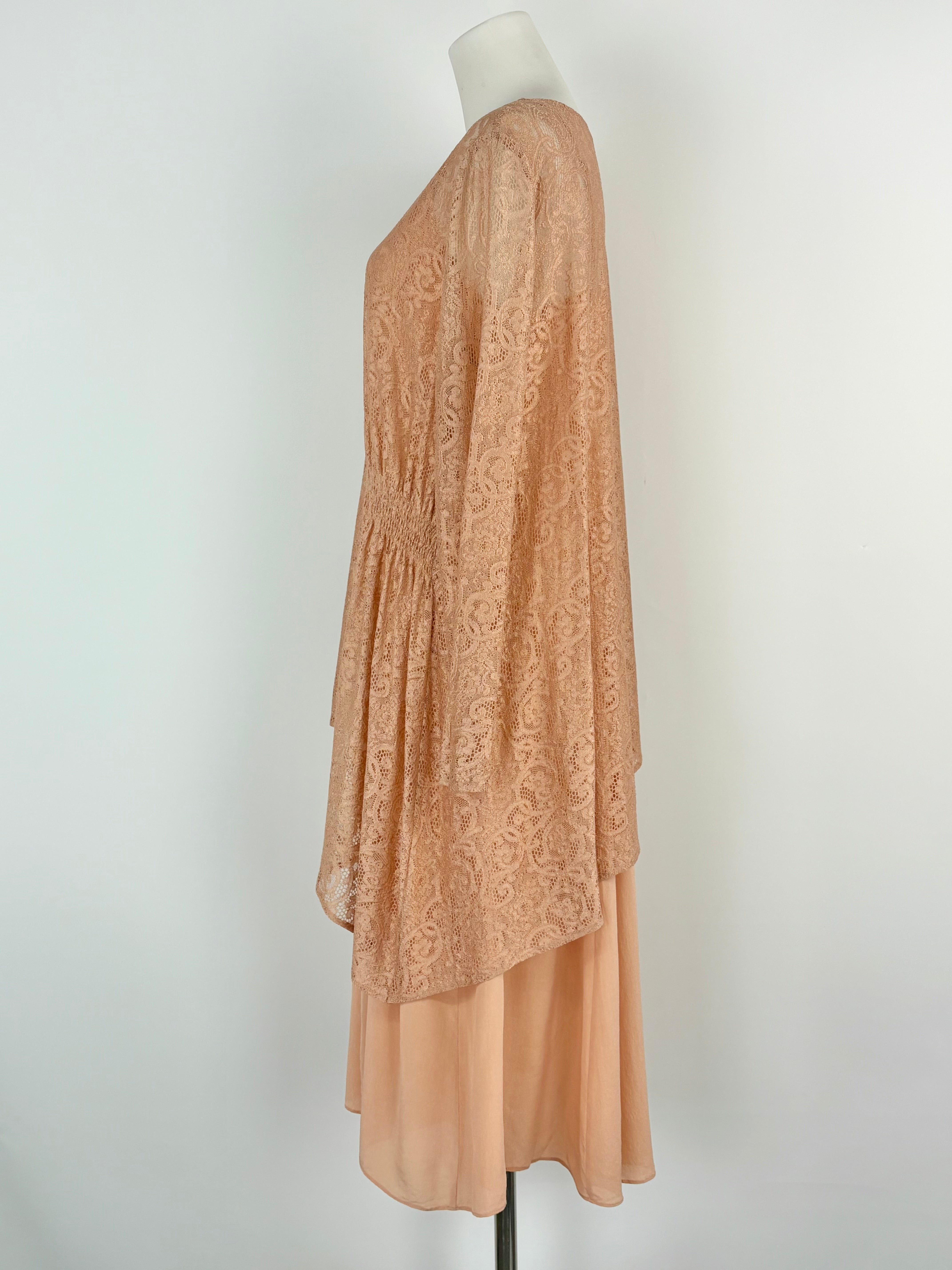 Marisfrolg Taupe Embroidered Lace Dress with Silk Slip - AU8/10