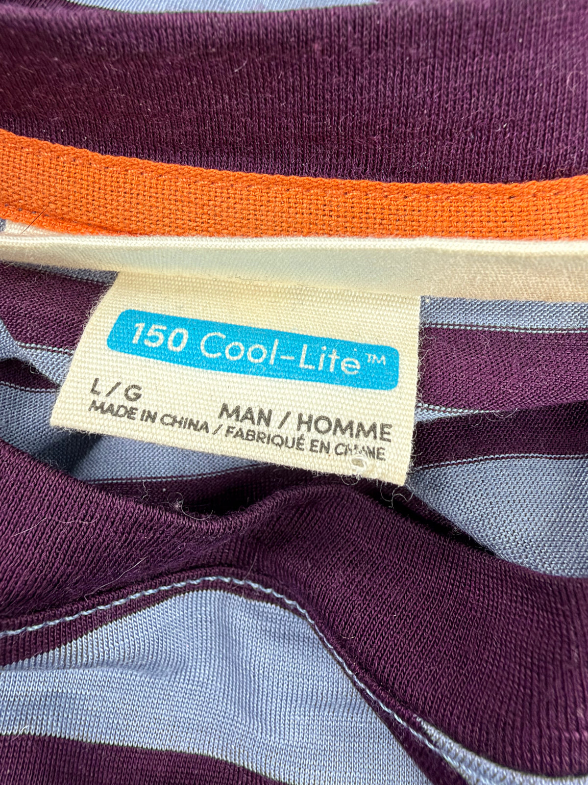 Icebreaker Blue and Purple 150 Cool-Lite Stripe T-Shirt - L