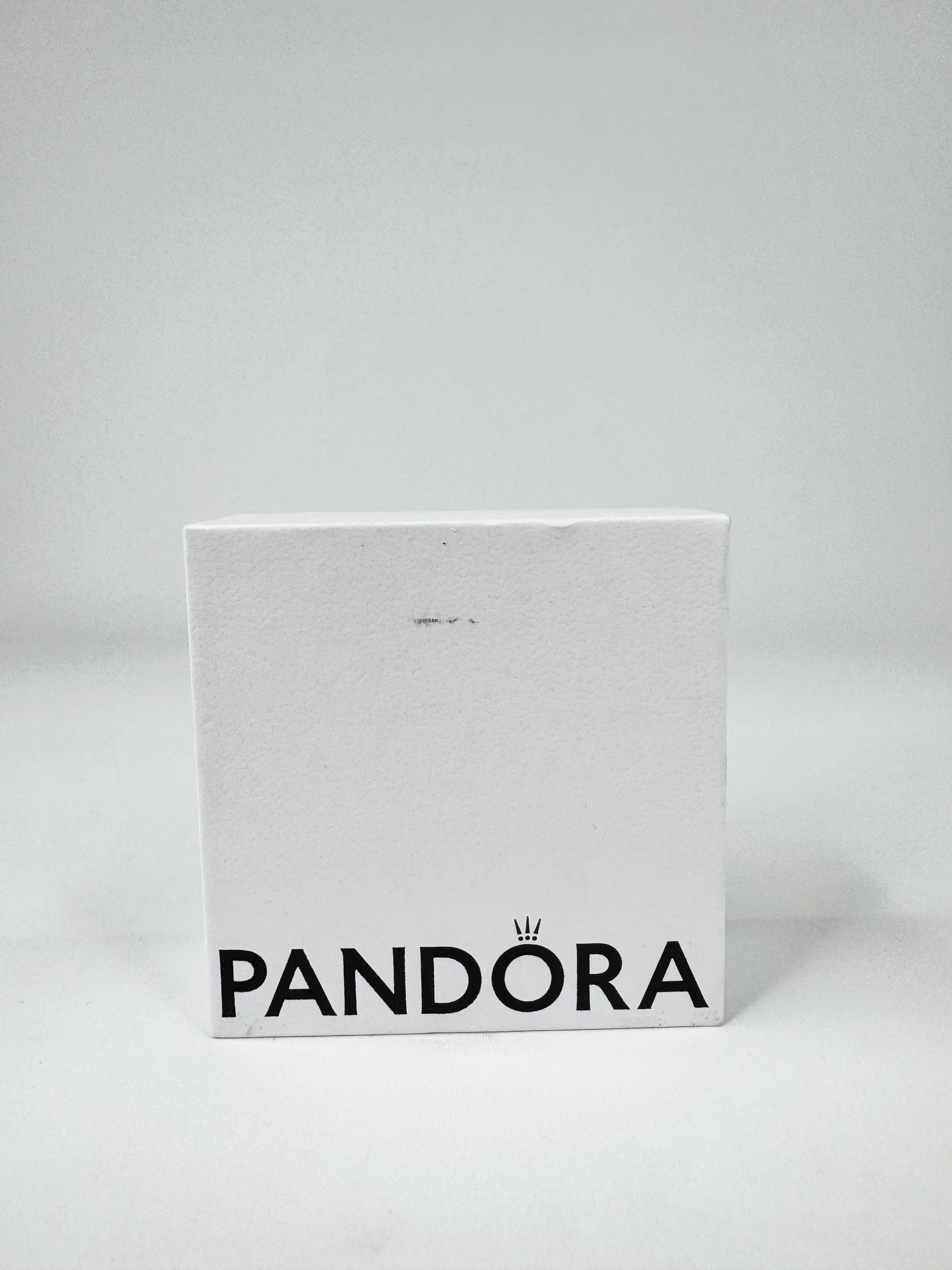 Pandora Pink Travel Charm on Necklace