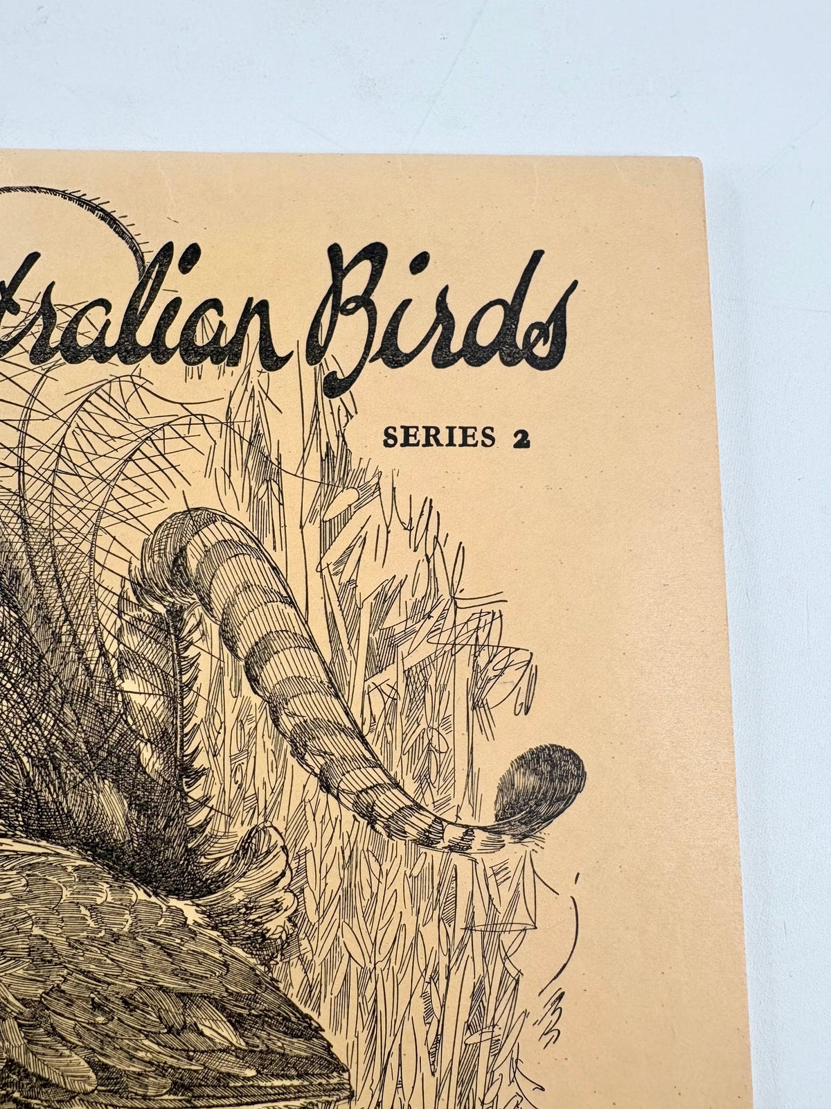 Vintage Australian Birds Sketch Books