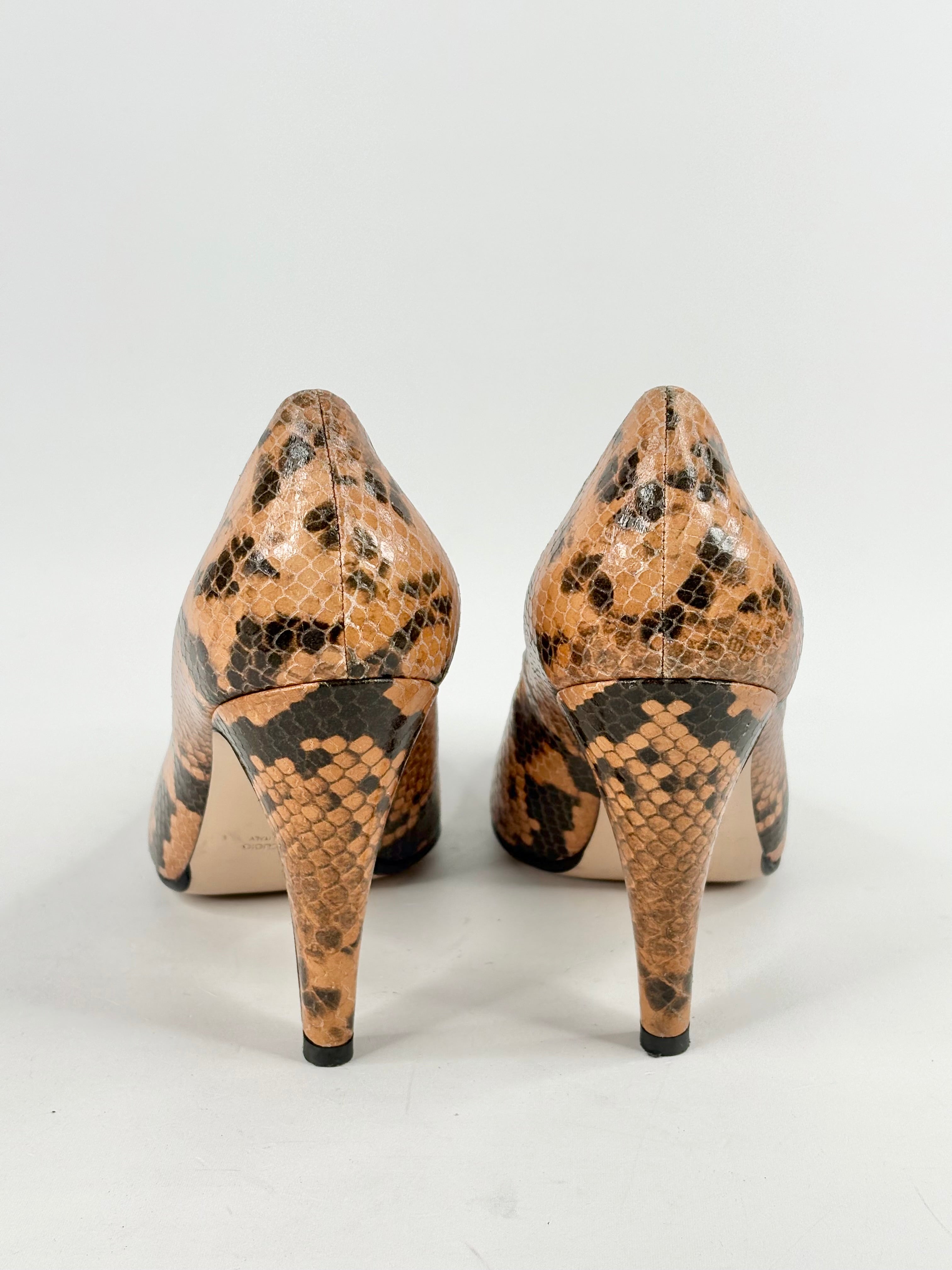 Scanlan Theodore Snake-Print Leather Pumps - EU41