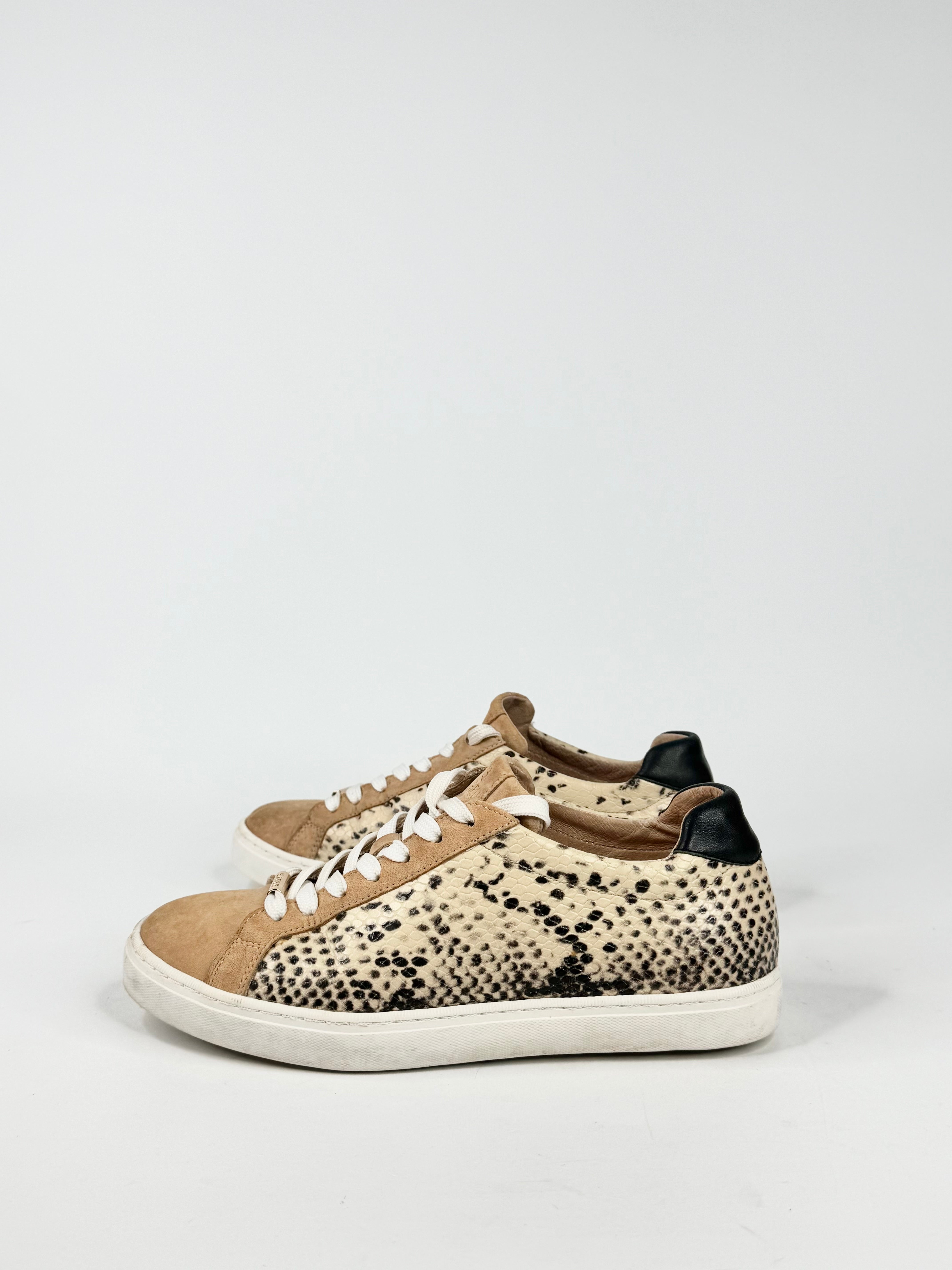 Bared Snakeskin Embossed Tan & Cream Lace Ups - EU37