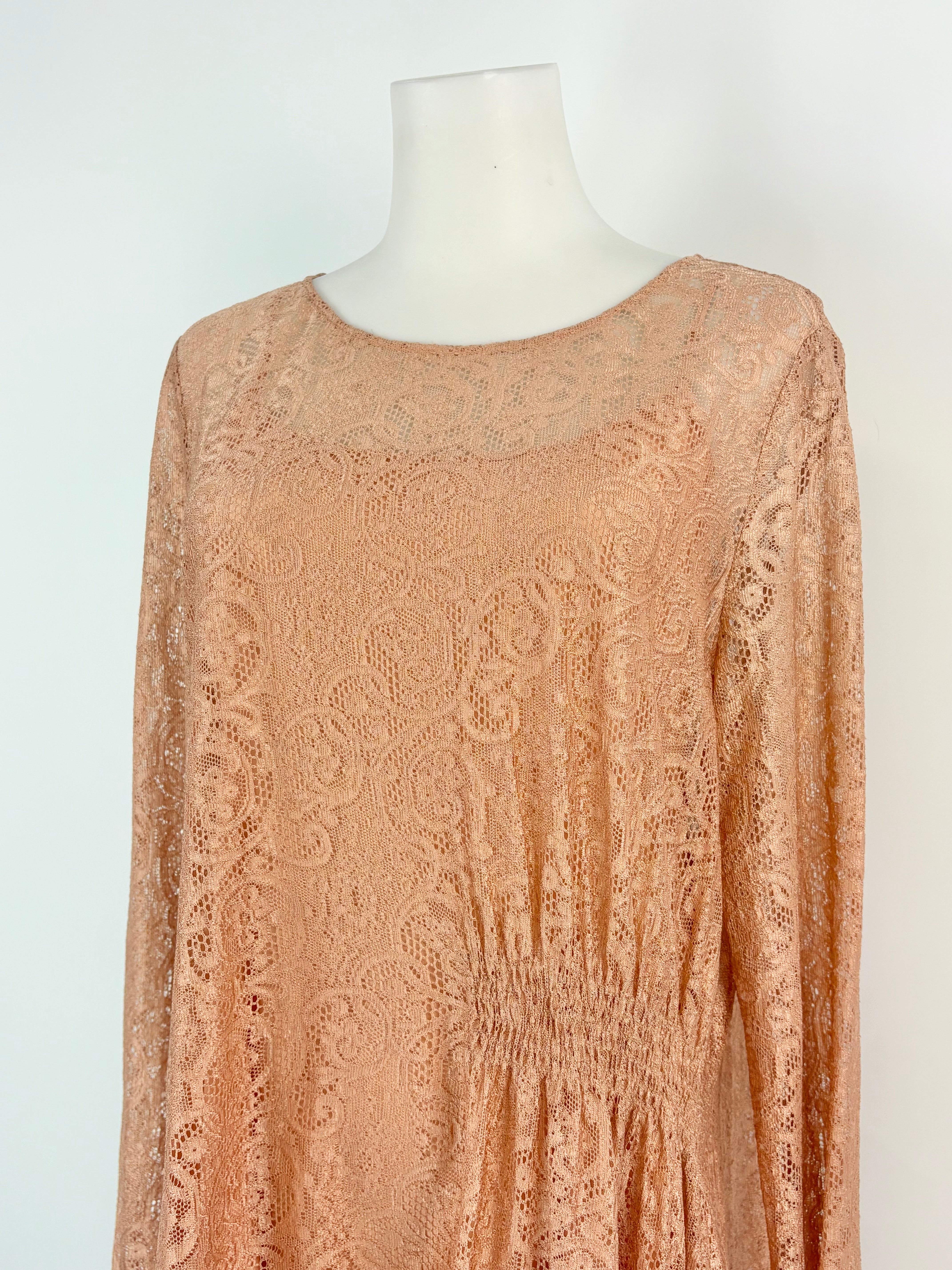 Marisfrolg Taupe Embroidered Lace Dress with Silk Slip - AU8/10