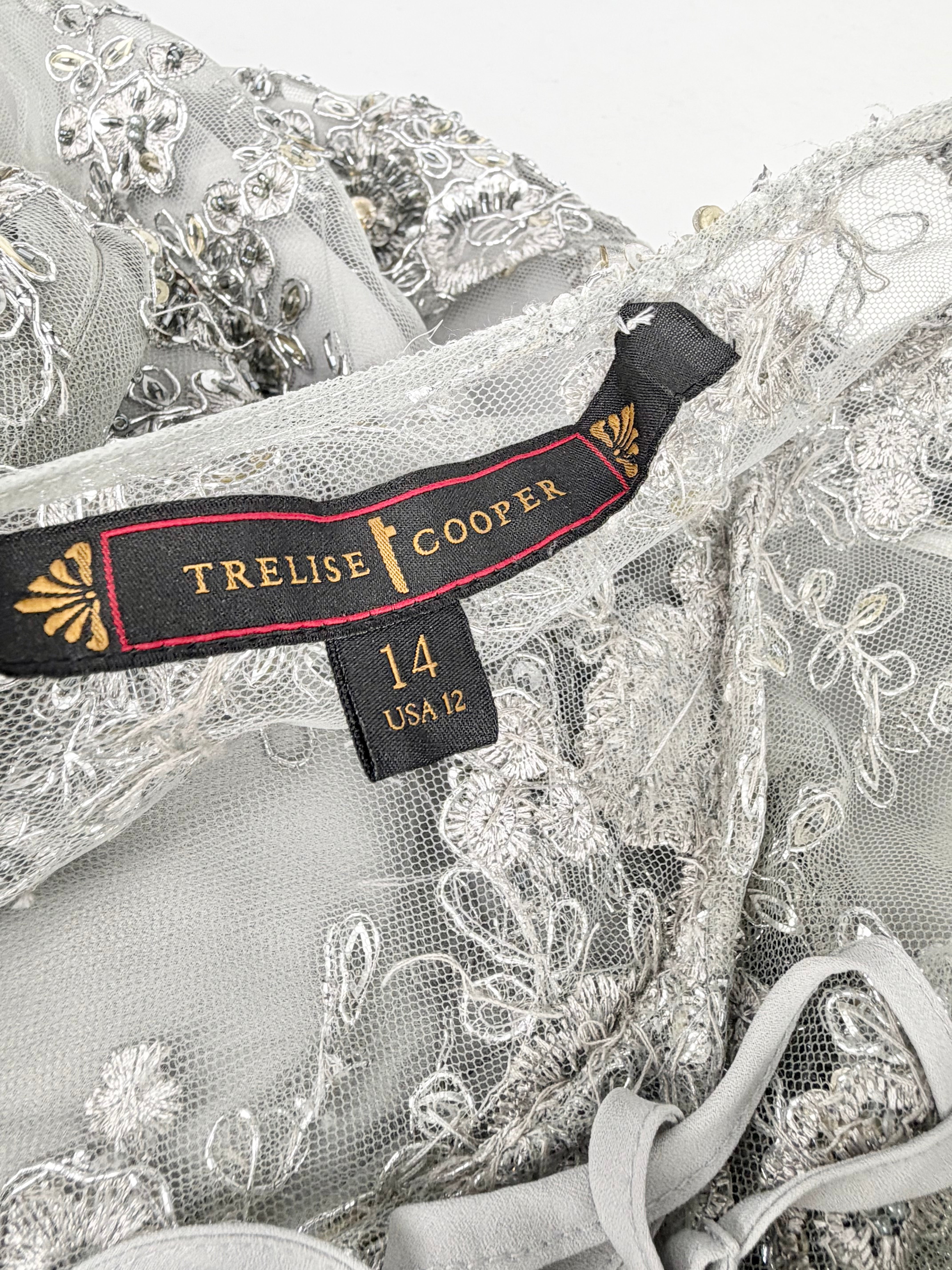 Trelise Cooper Grey 'Ornate & Great One More Dance' Silver Beaded Applique Dress - AU14