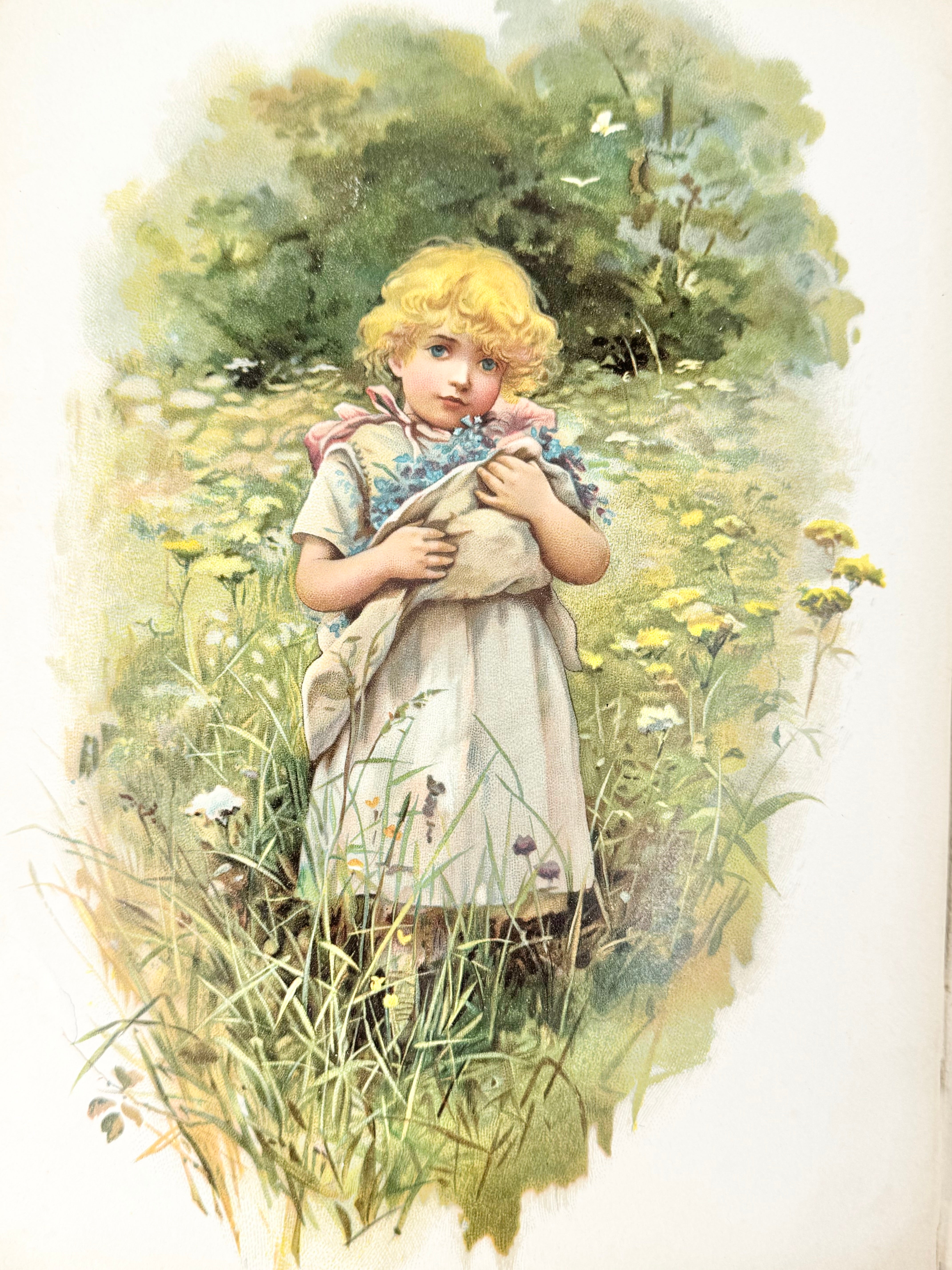 Antique 1884 Queen of the Meadows - Robert Ellice Mack