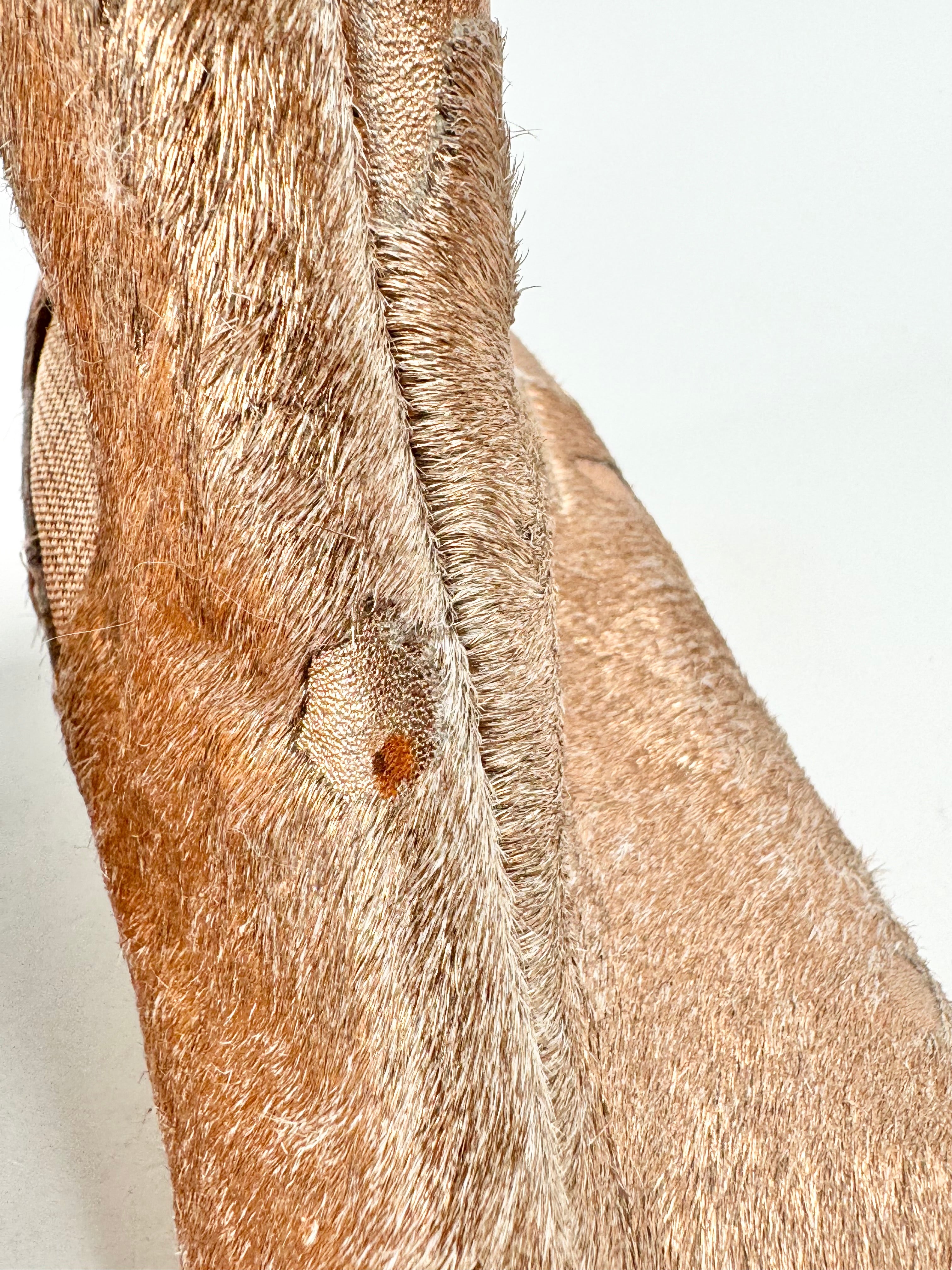 Mollini Rose Gold 'Zallas' Fur Ankle Boots - EU39