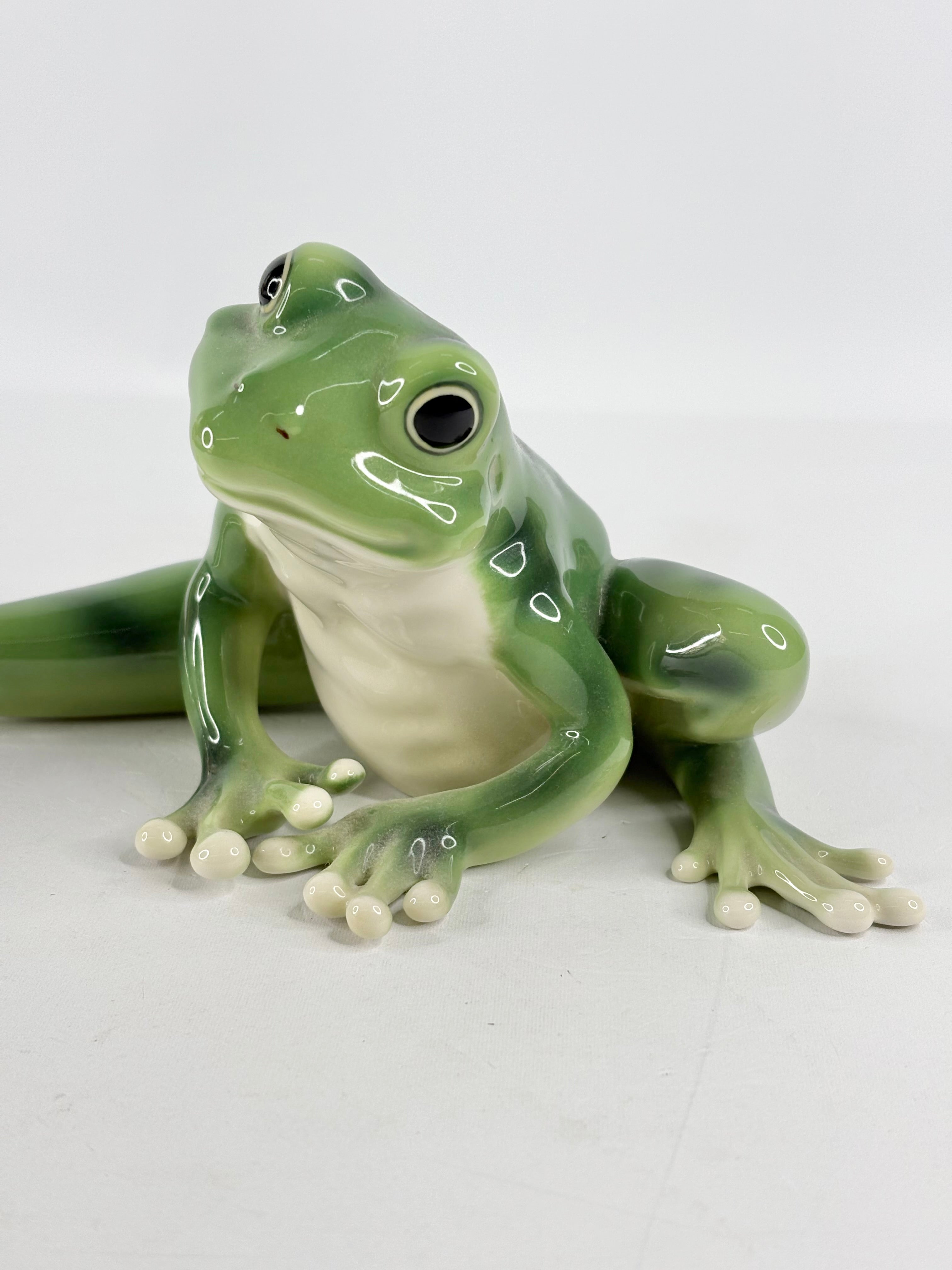 Franz Amphibia Collection 12" Outstretched Frog Figurine