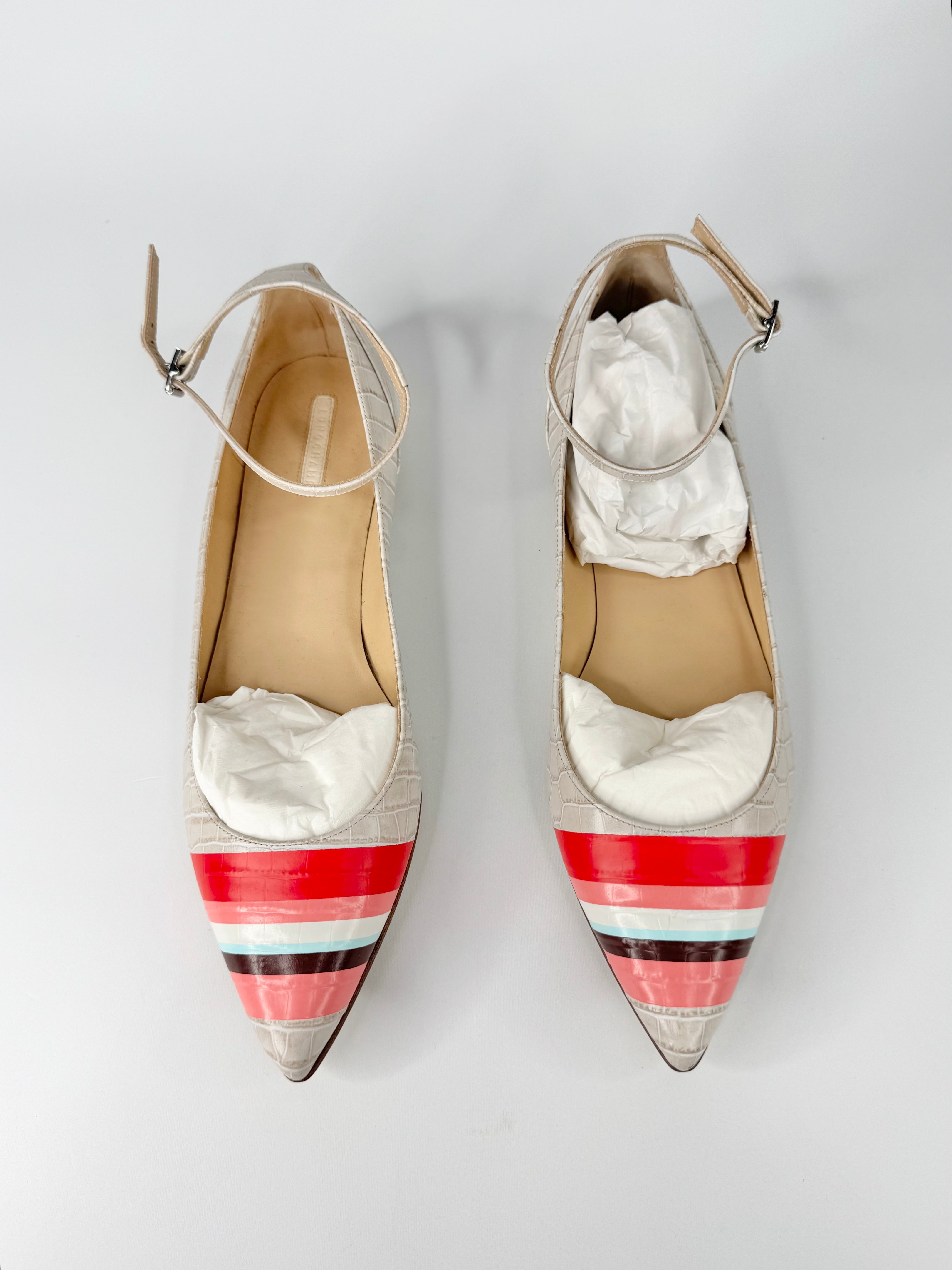 Longchamp Pale Snake Embossed Striped Pattern Pointed Toe Ballet Flats - EU41