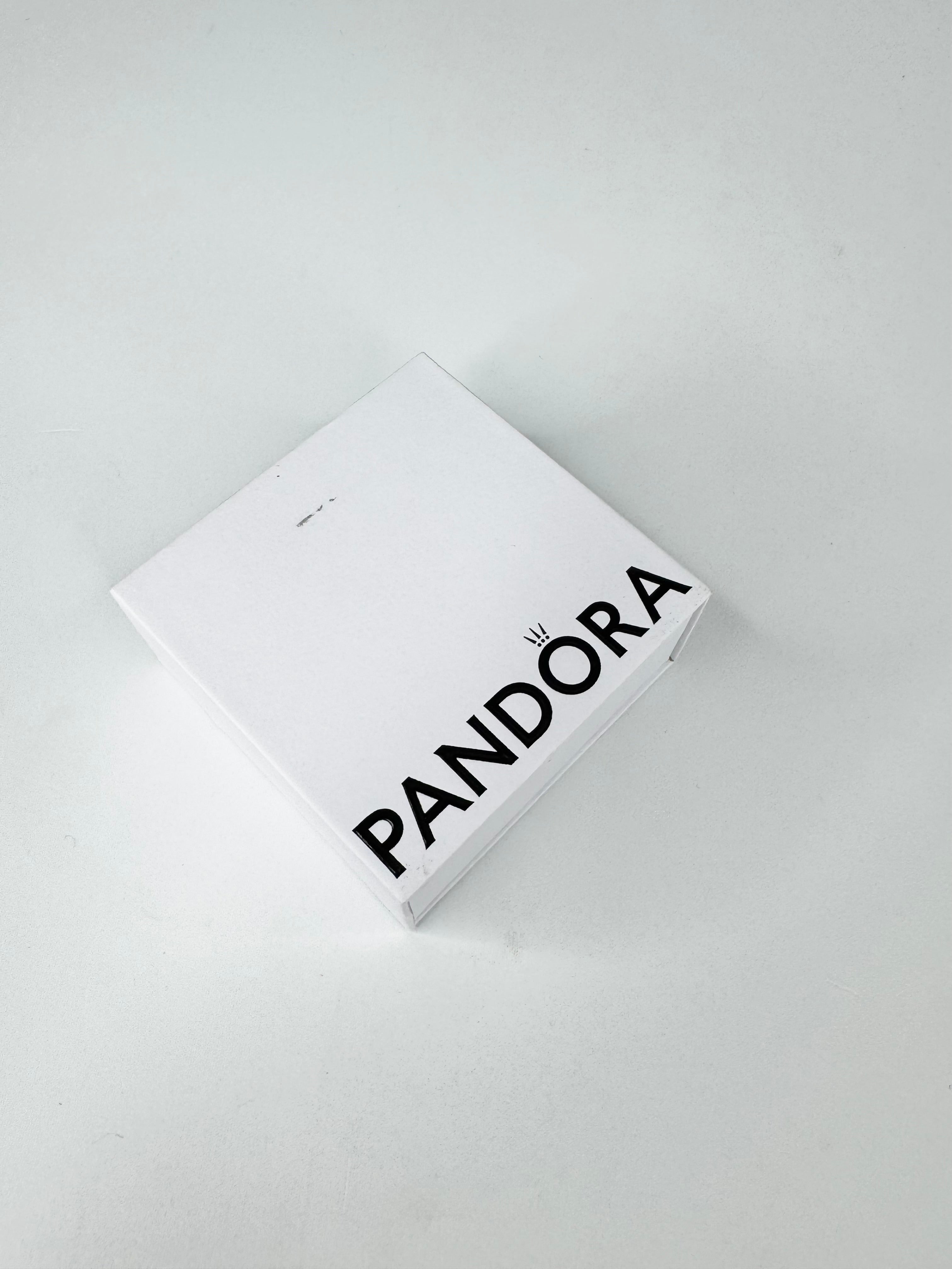 Pandora Pink Travel Charm on Necklace