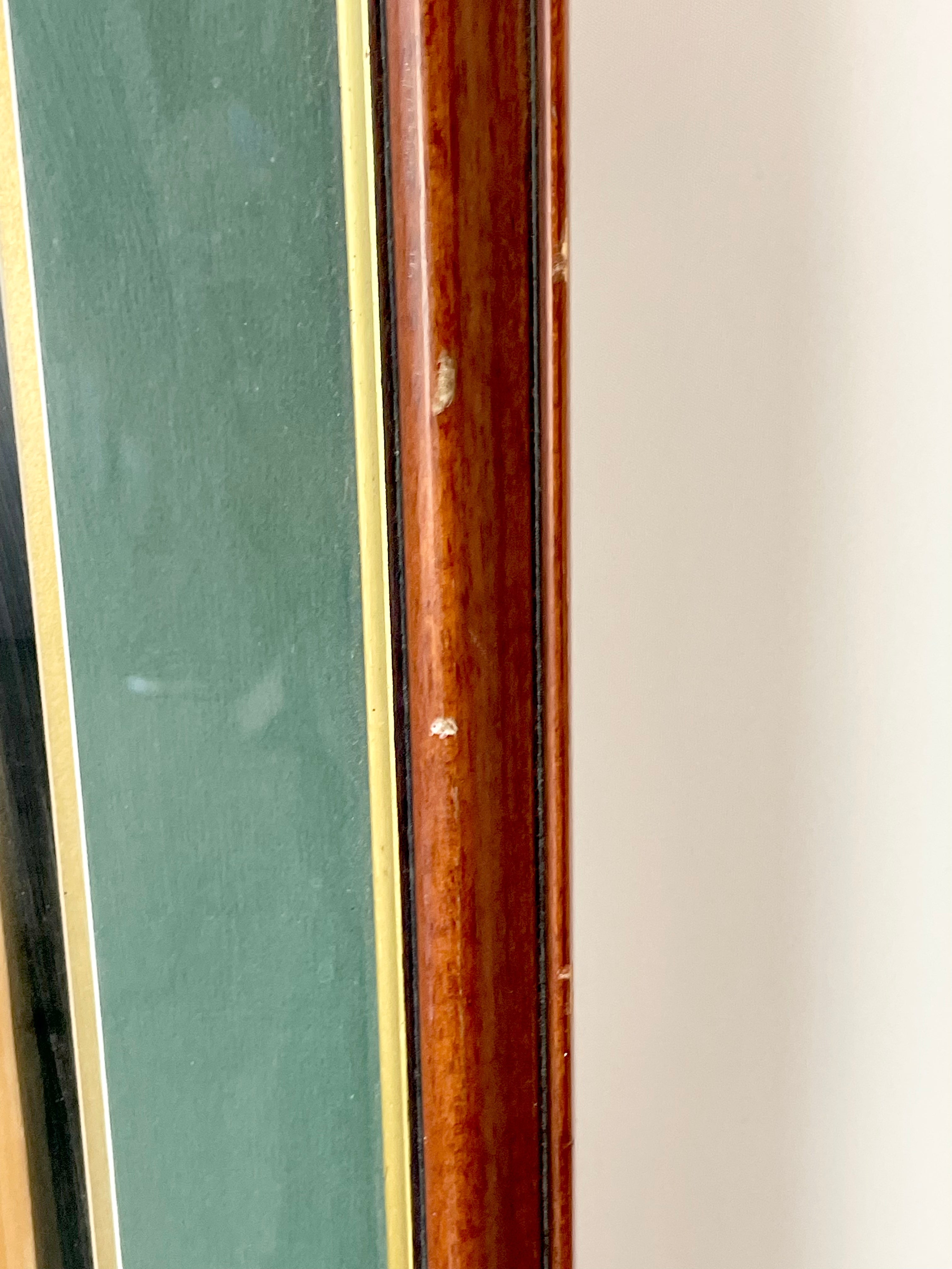Signed & Framed Millennium Tour 2000 Cricket Bat