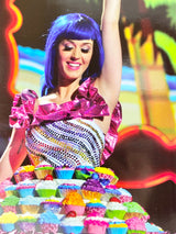 Katy Perry California Dreams Tour Program