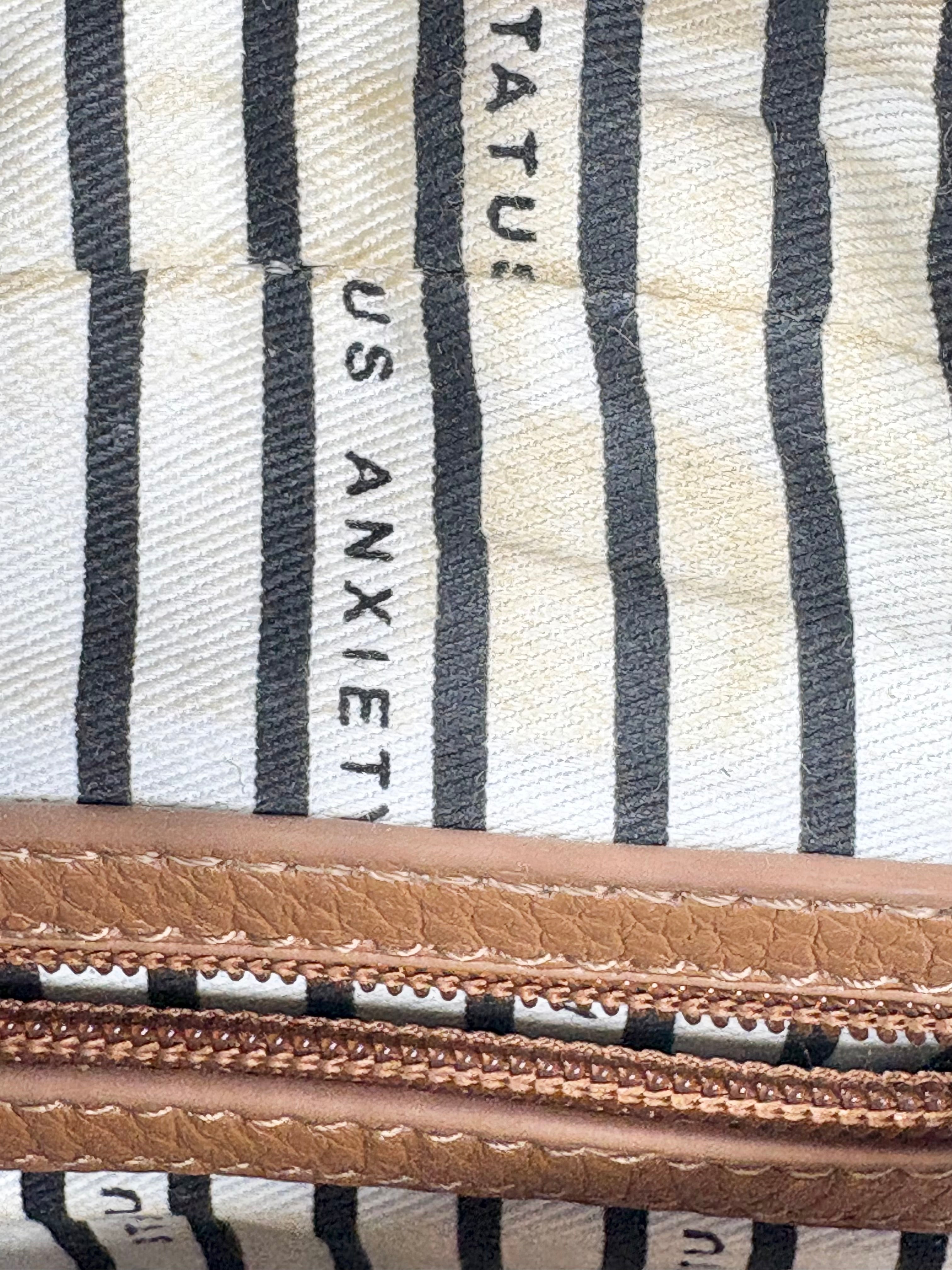Status Anxiety Mocha 'The Ascendants' Grained Leather Crossbody Bag