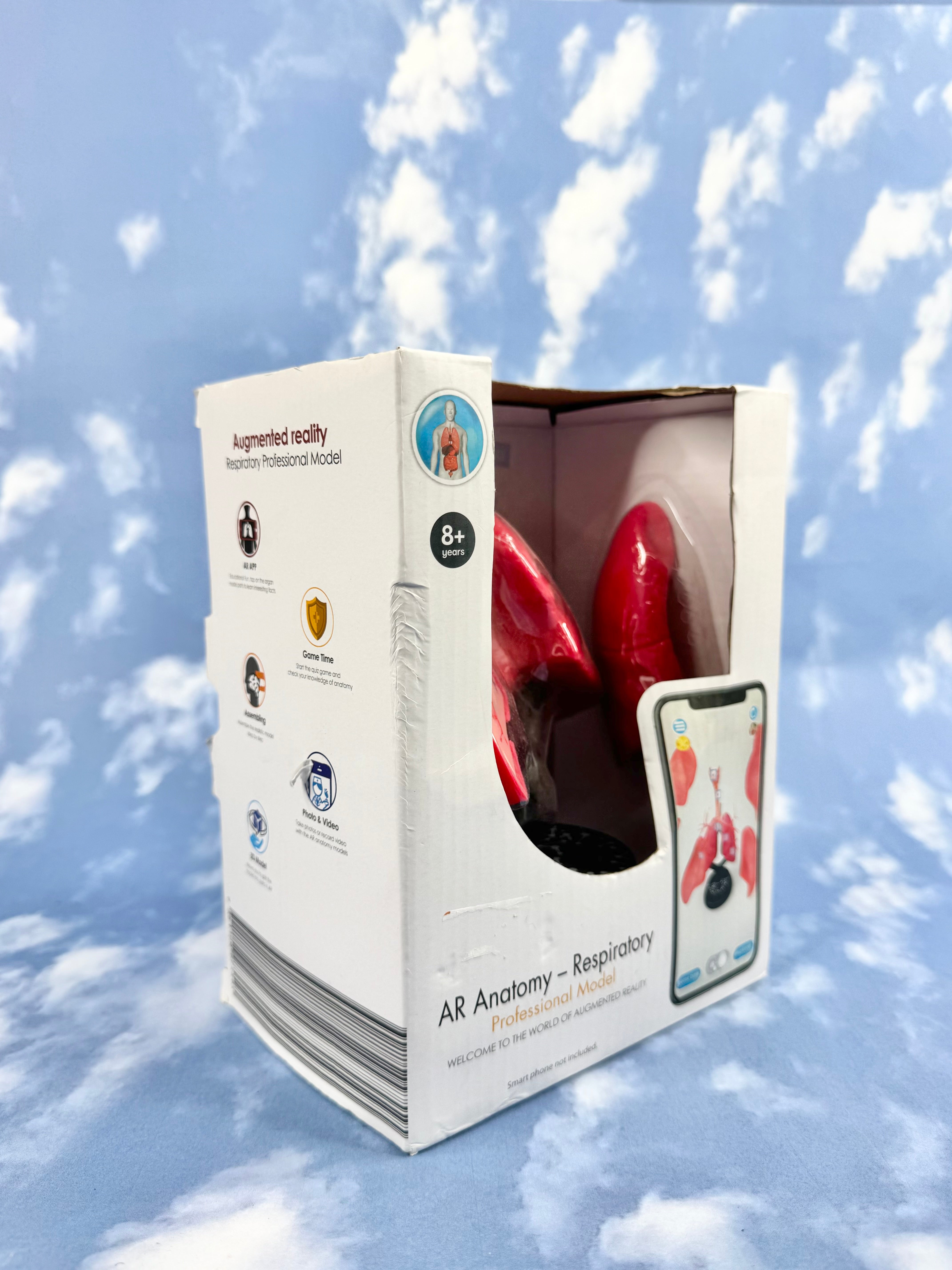 AR Anatomy Professional Respiratory Model