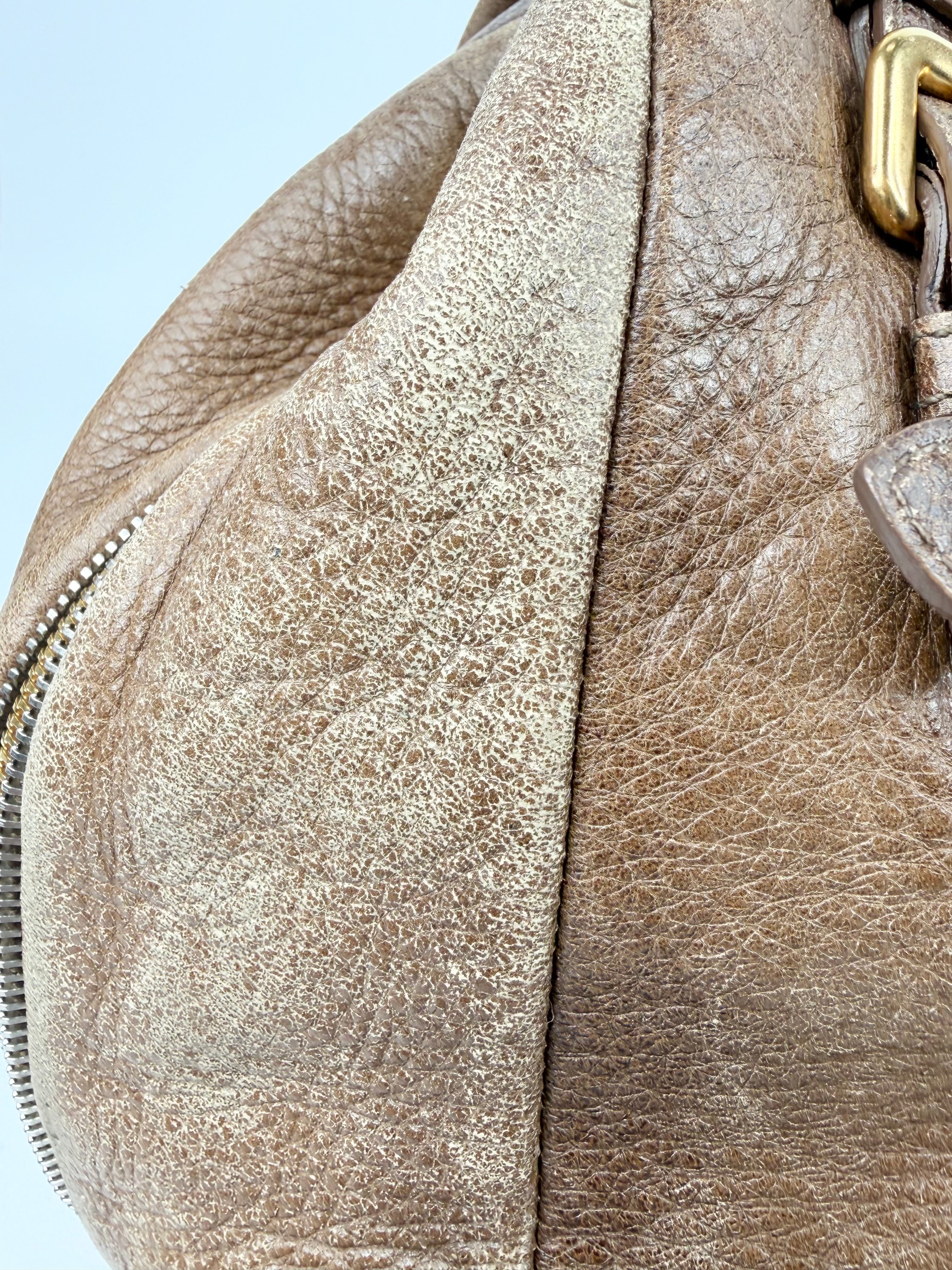 Prada Faun Vitello Diano Hobo Bag