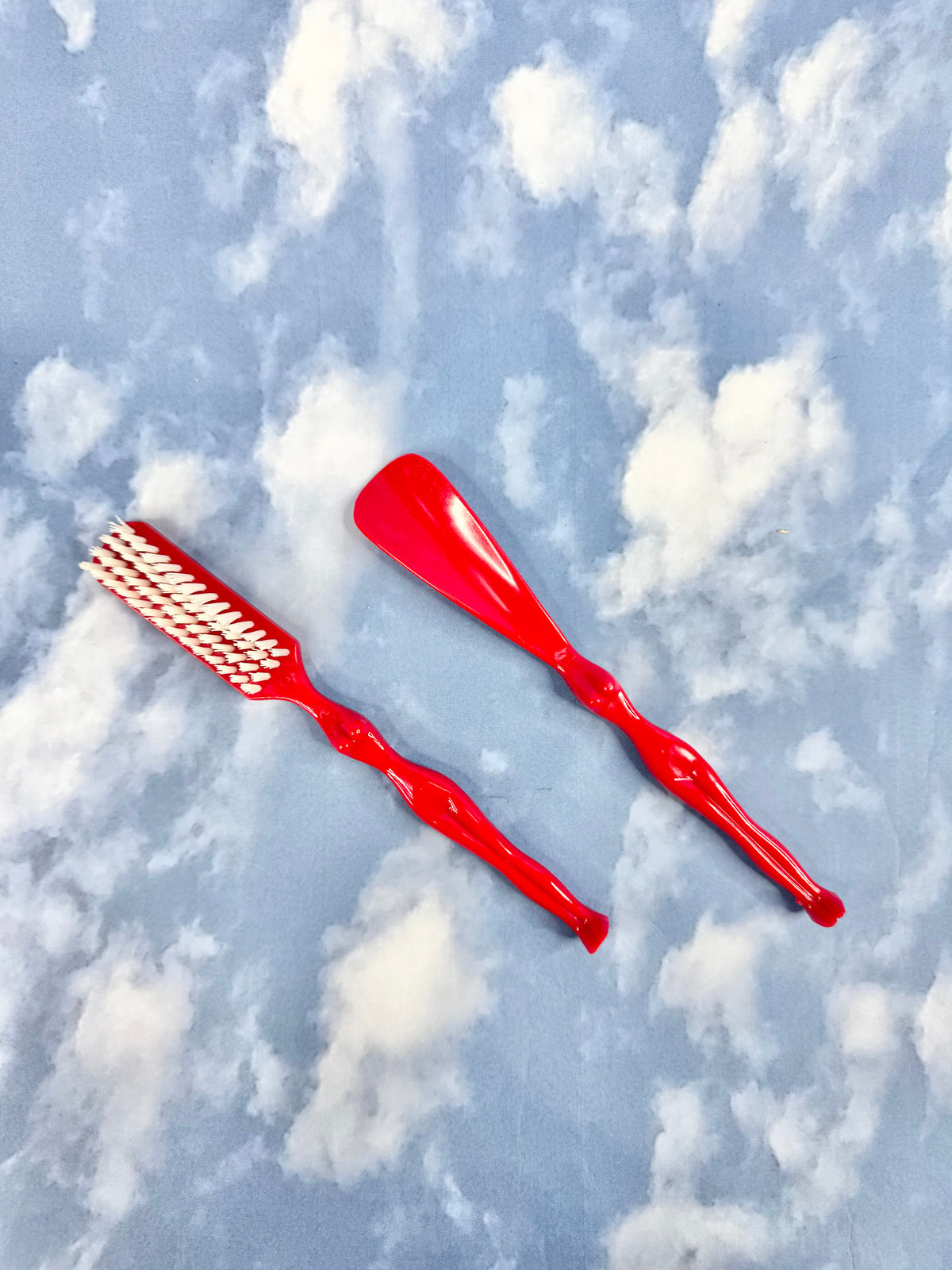 Sexy Cloth Brush & Shoehorn