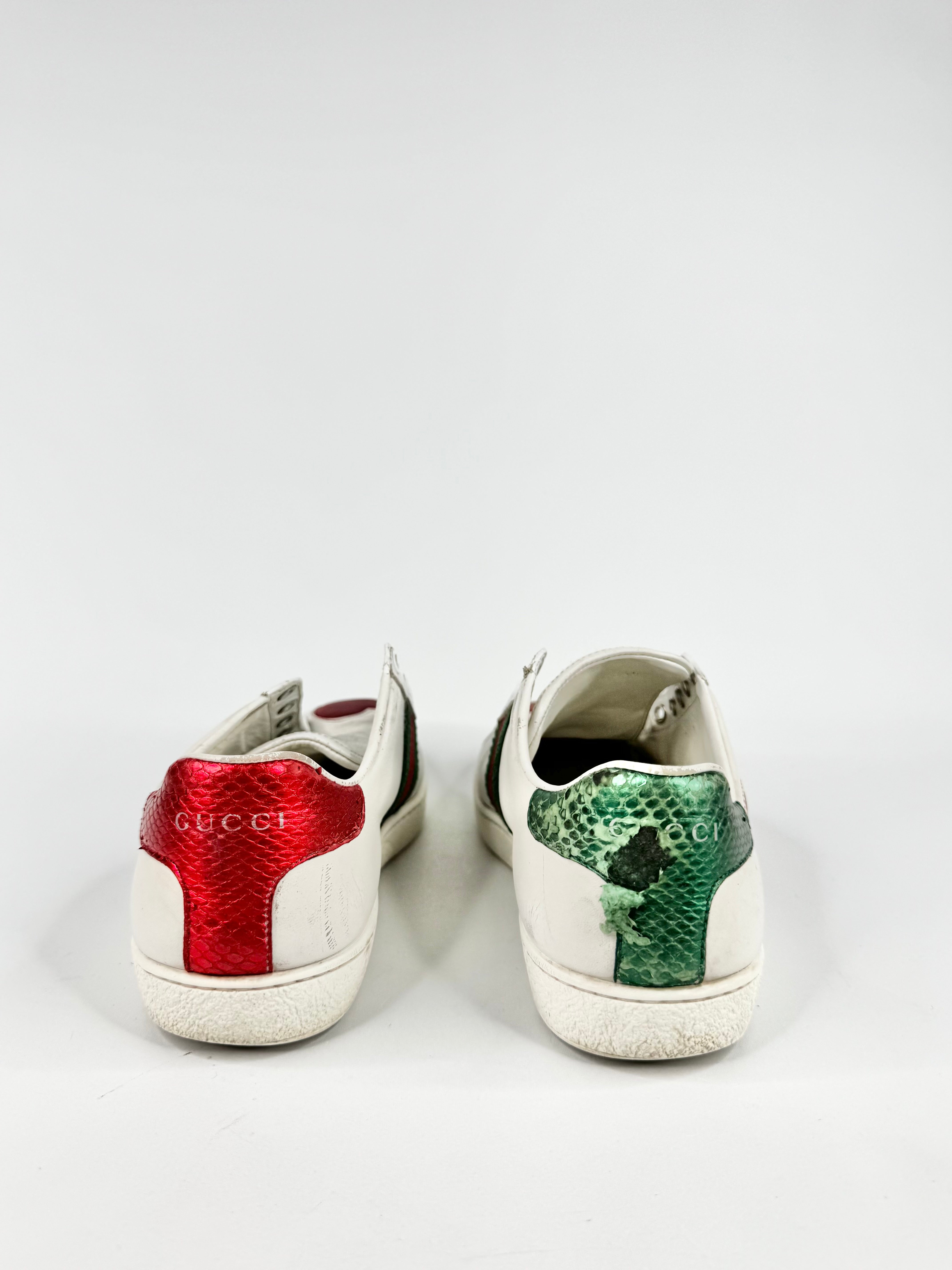 Gucci White 'Ace' Low Top Sneakers - EU37