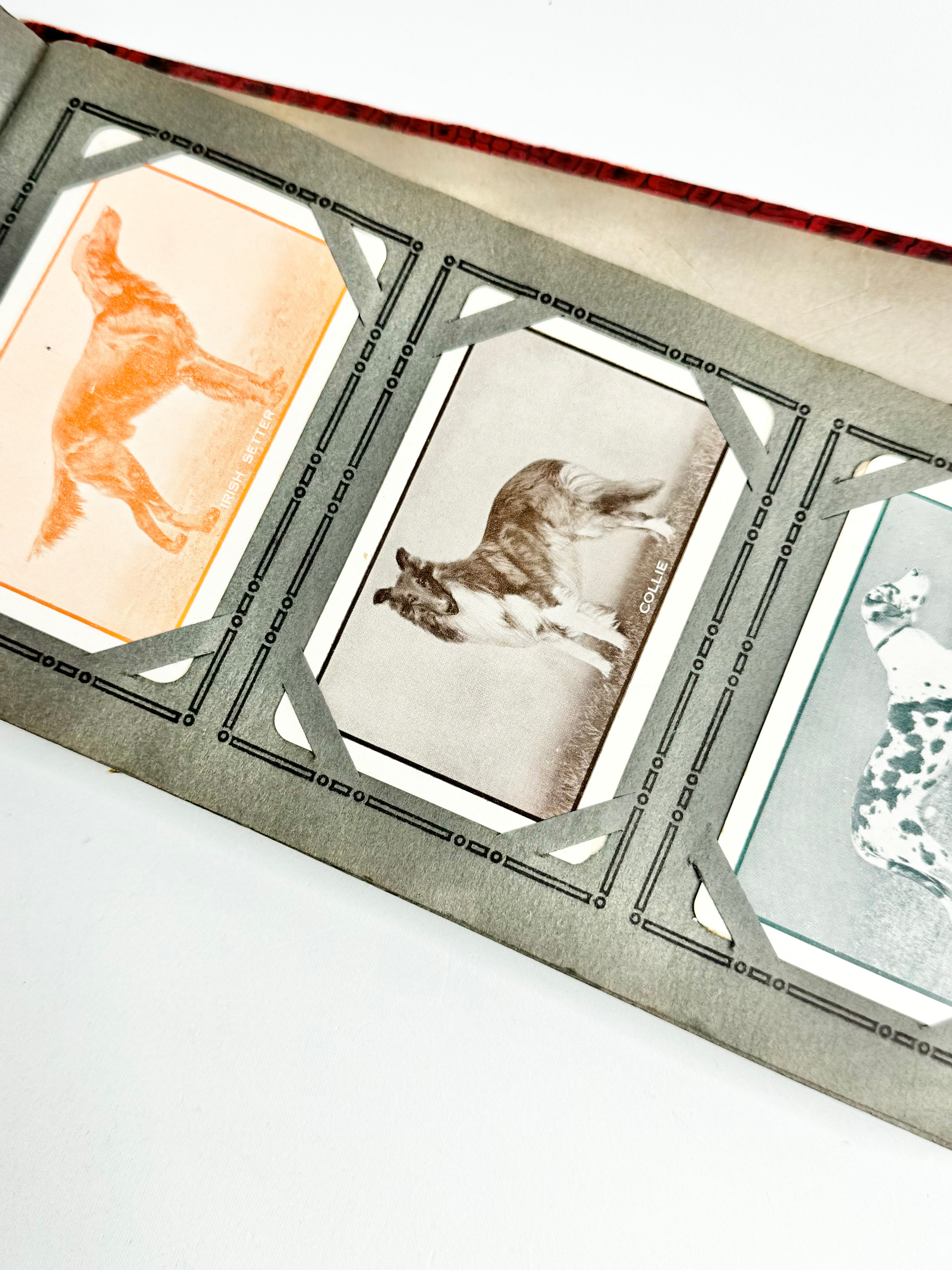 Vintage Playing Card Album