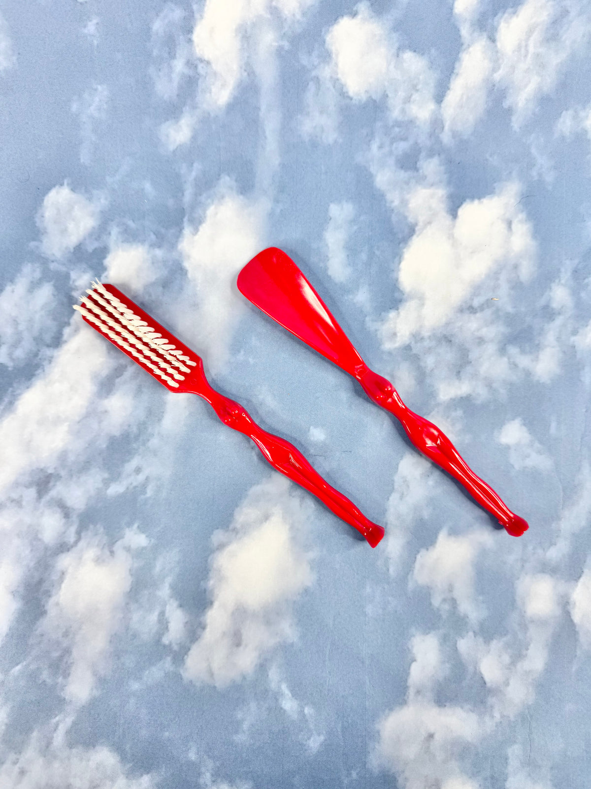 Sexy Cloth Brush & Shoehorn