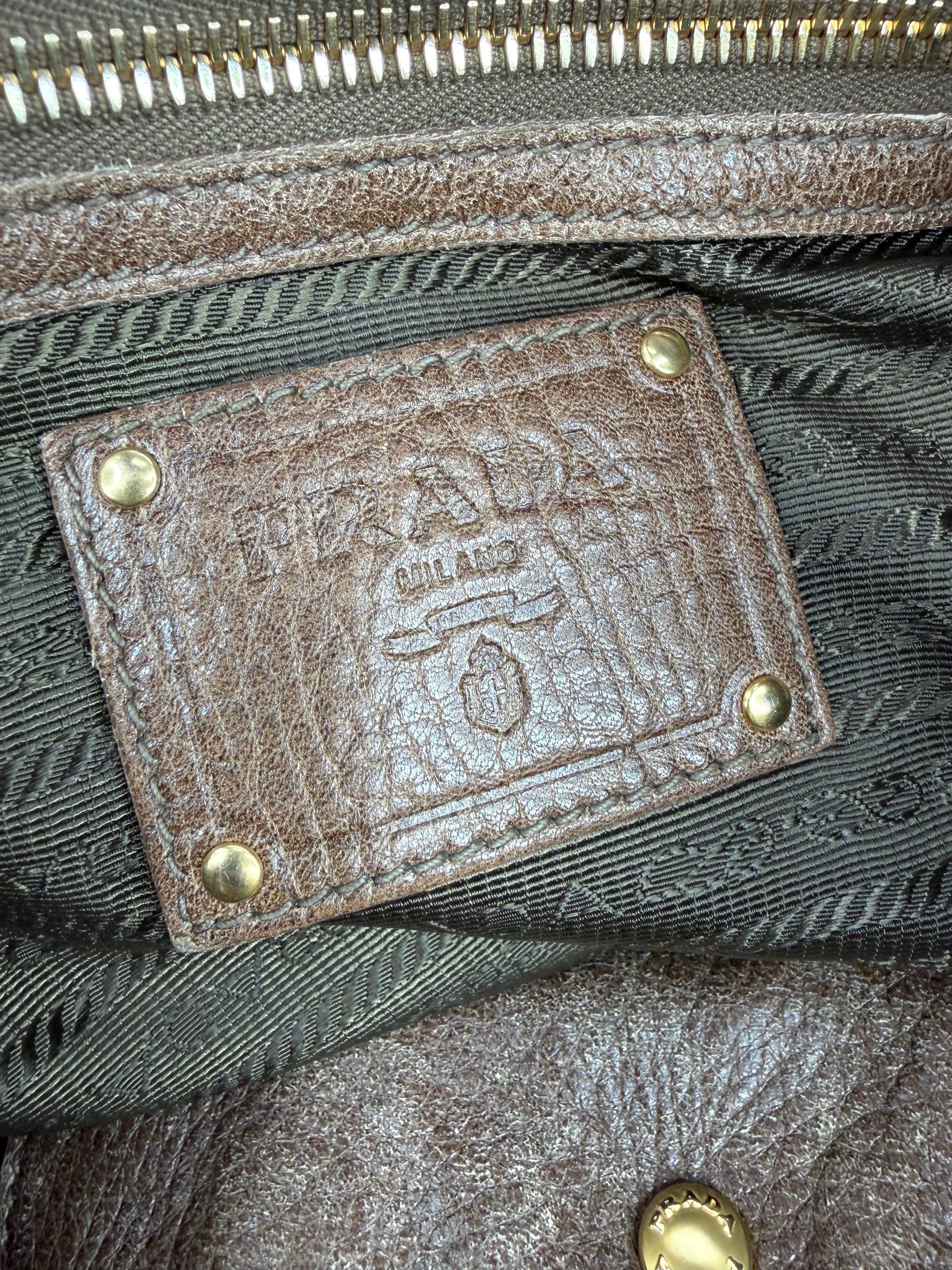 Prada Faun Vitello Diano Hobo Bag