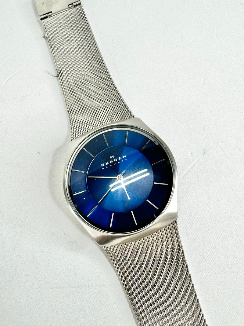 Skagen Stainless Steel Mesh Watch