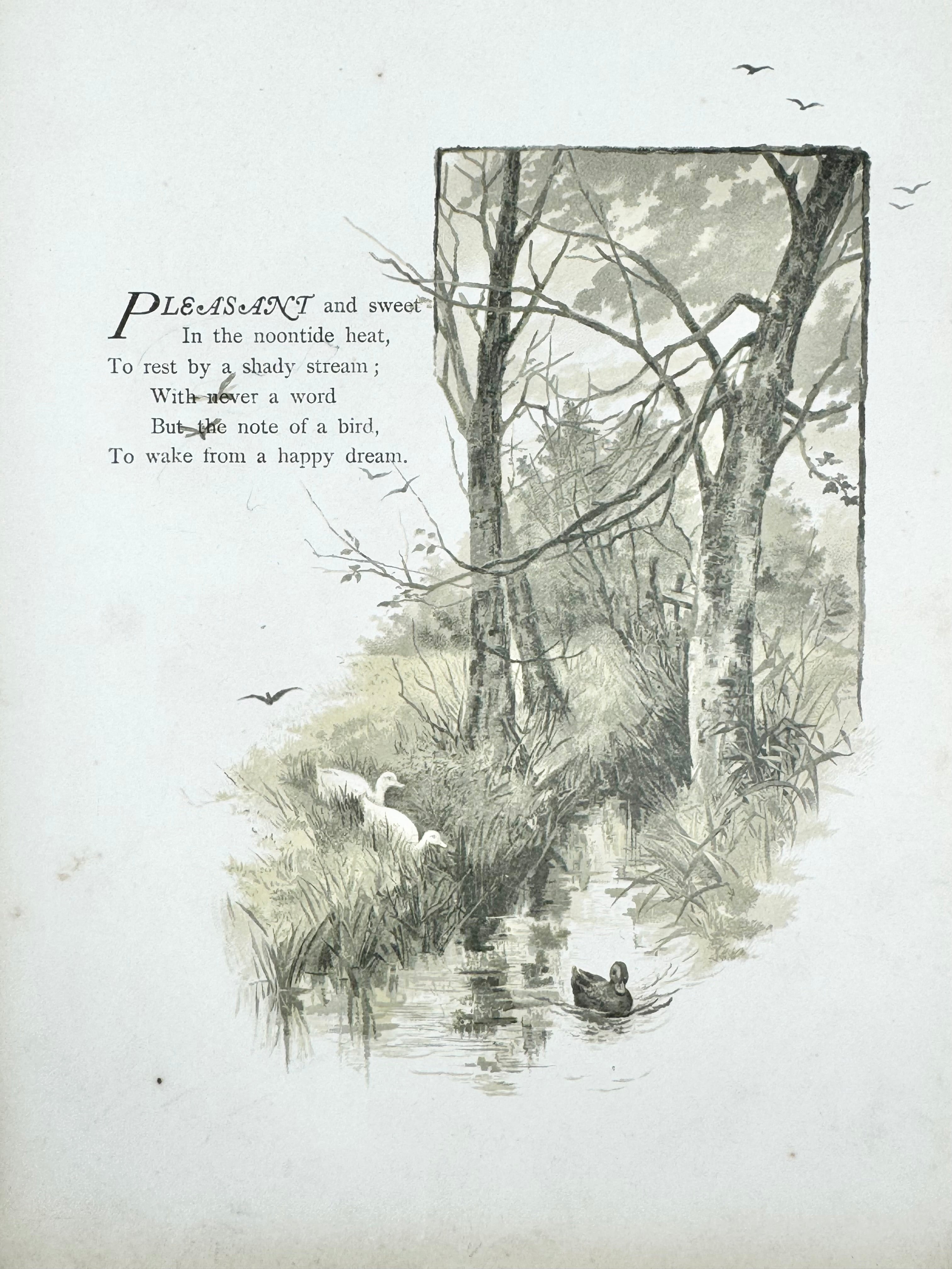 Antique 1884 Queen of the Meadows - Robert Ellice Mack