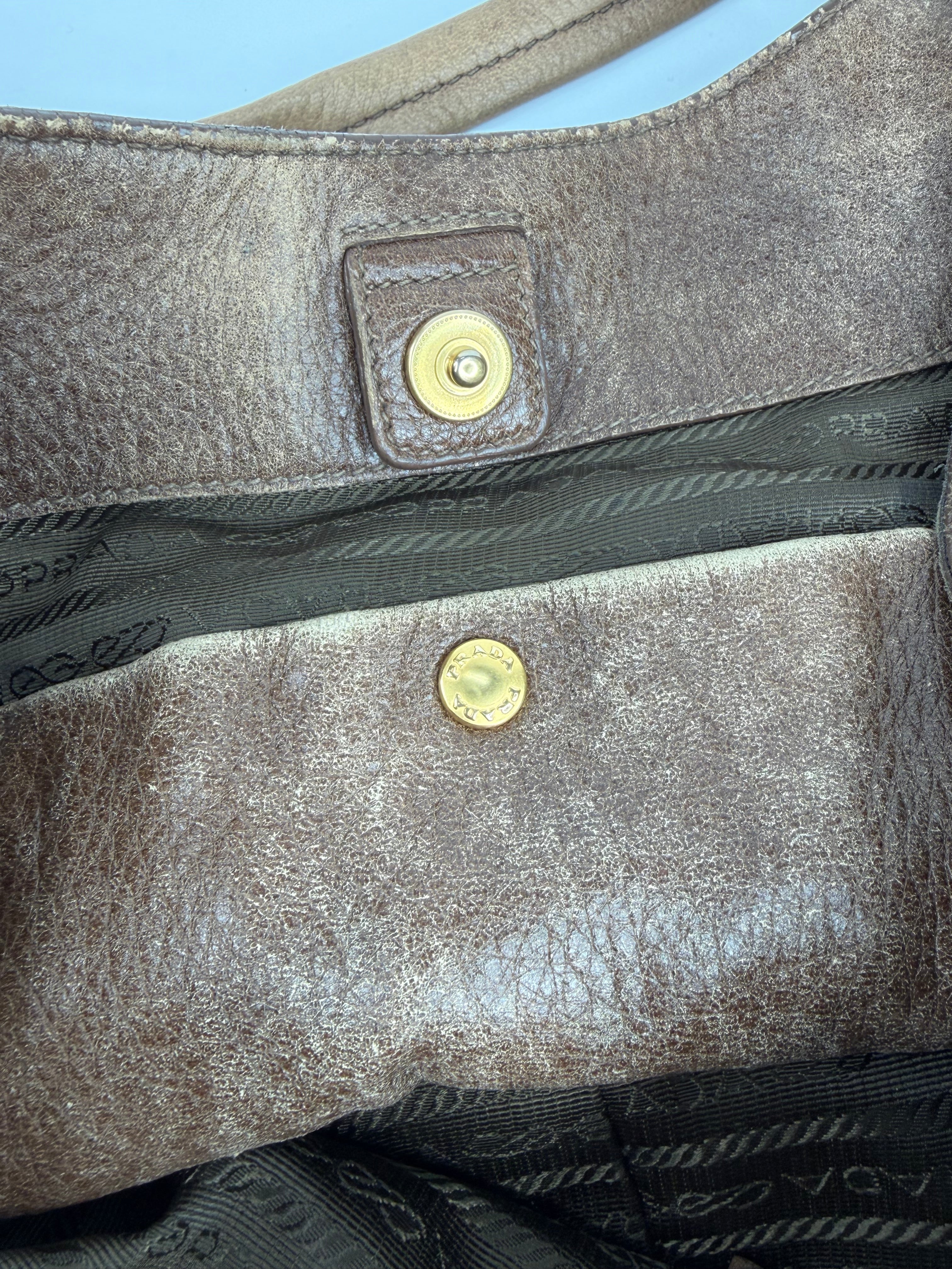 Prada Faun Vitello Diano Hobo Bag