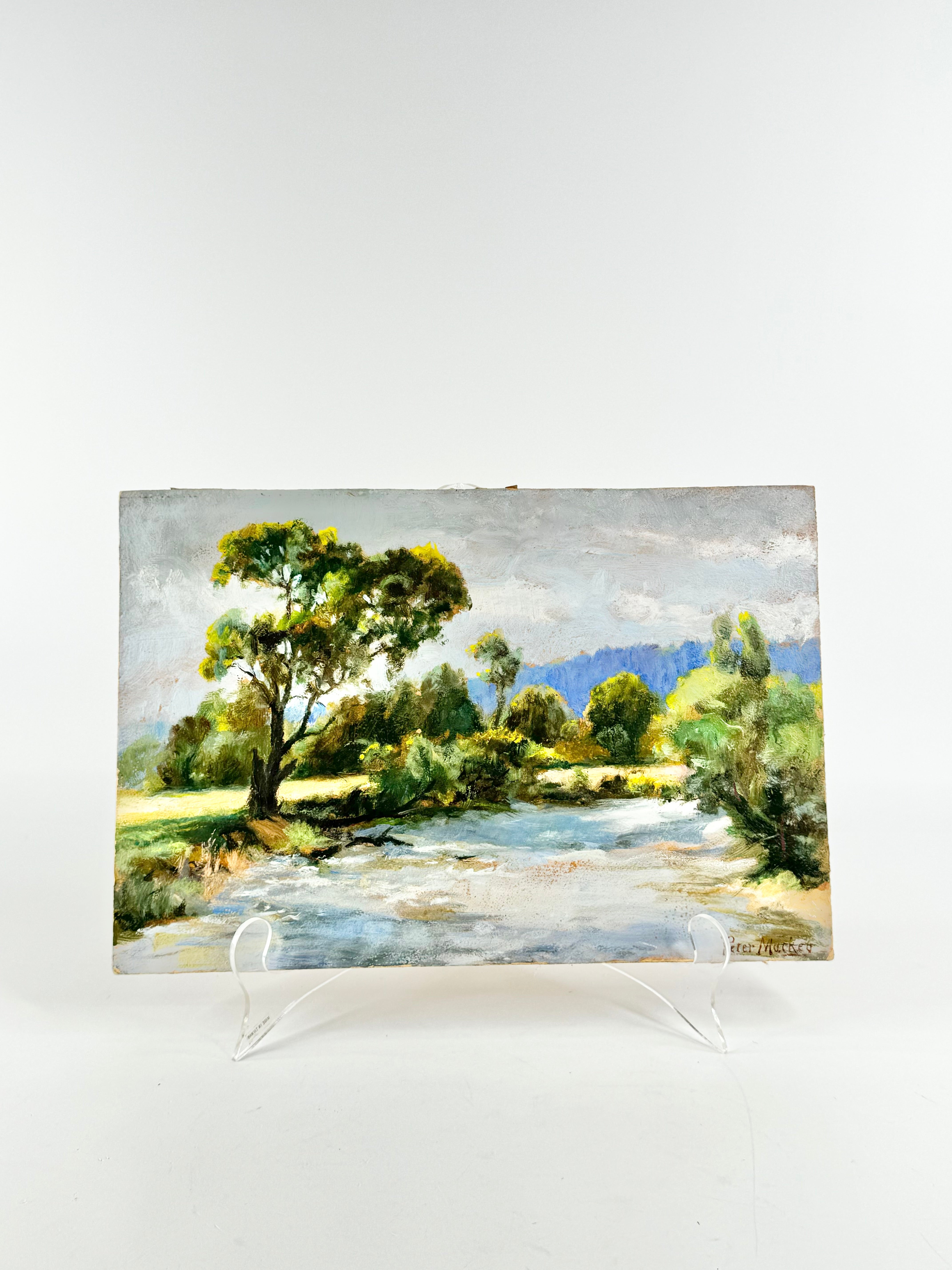 19th Century Australian Landscape by Peter Mackey River Oil Painting