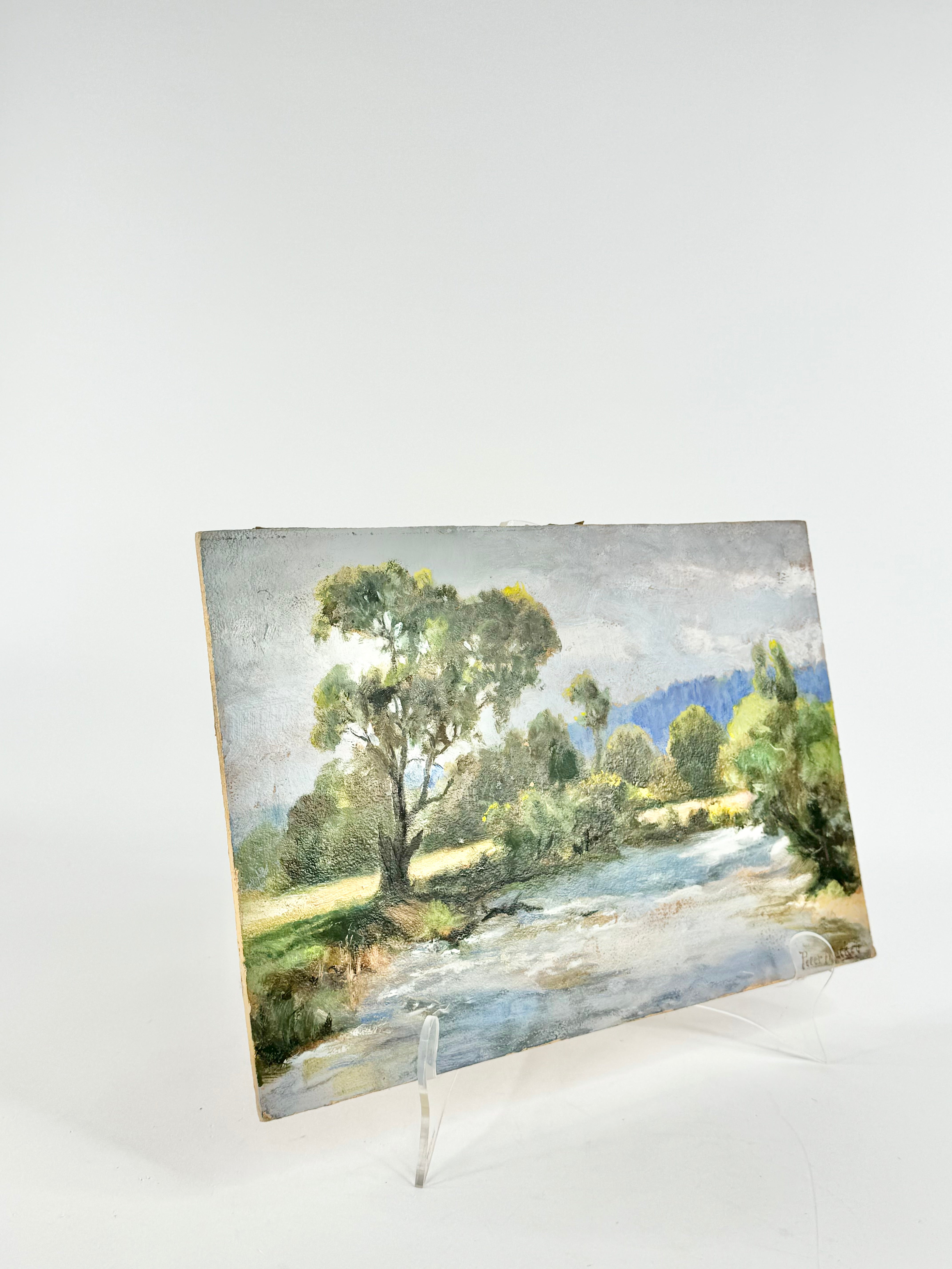 19th Century Australian Landscape by Peter Mackey River Oil Painting
