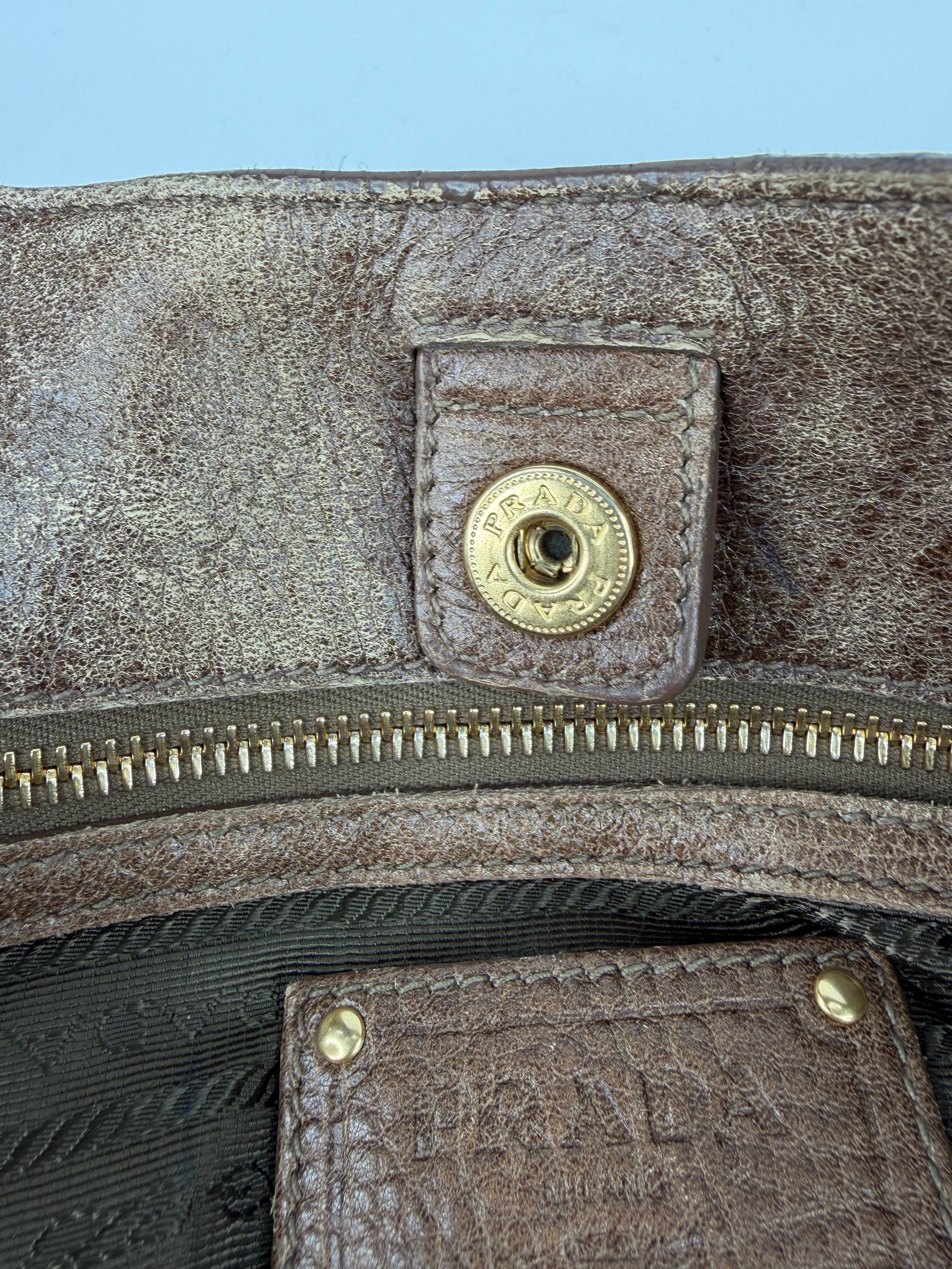 Prada Faun Vitello Diano Hobo Bag