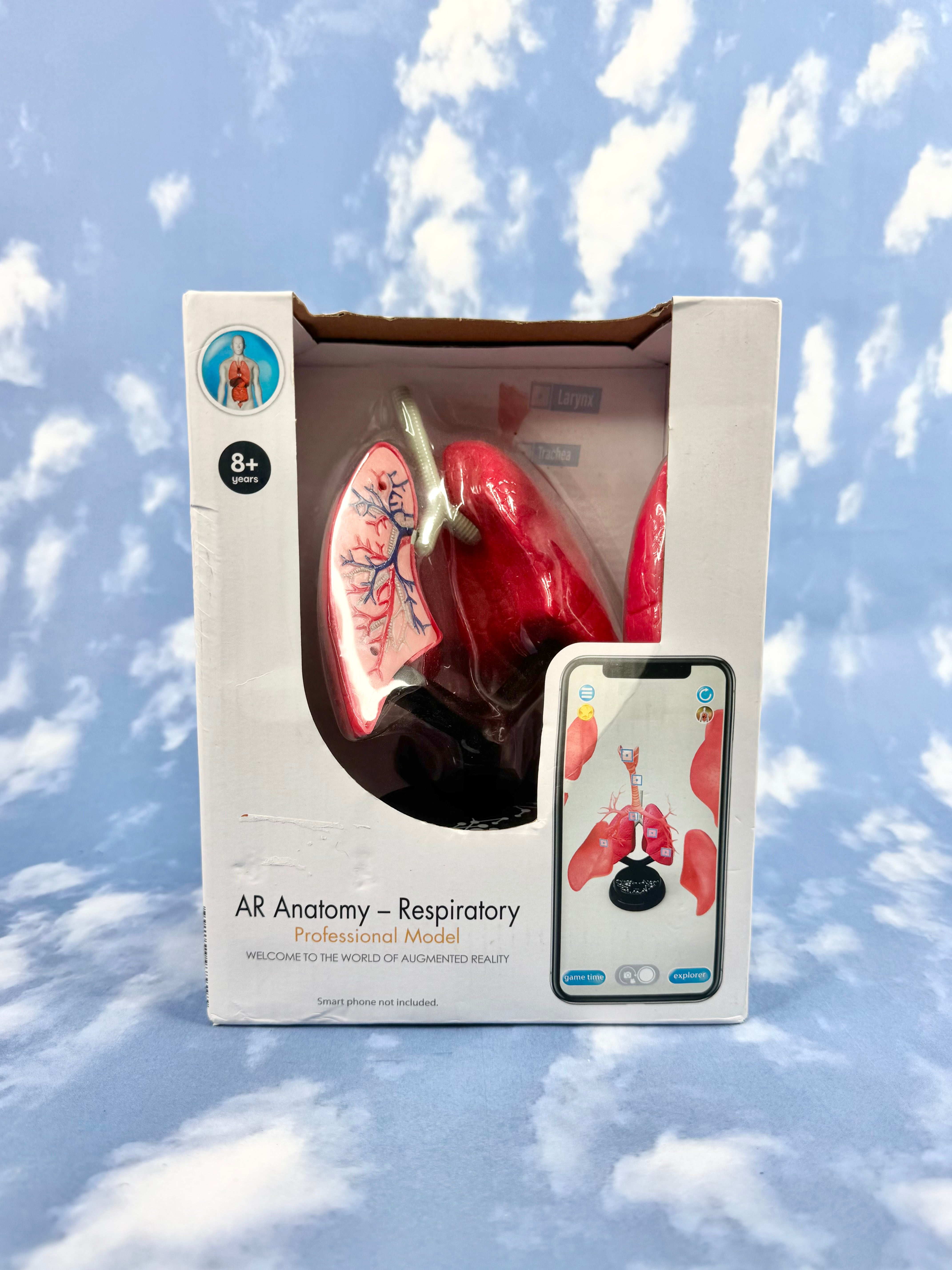 AR Anatomy Professional Respiratory Model