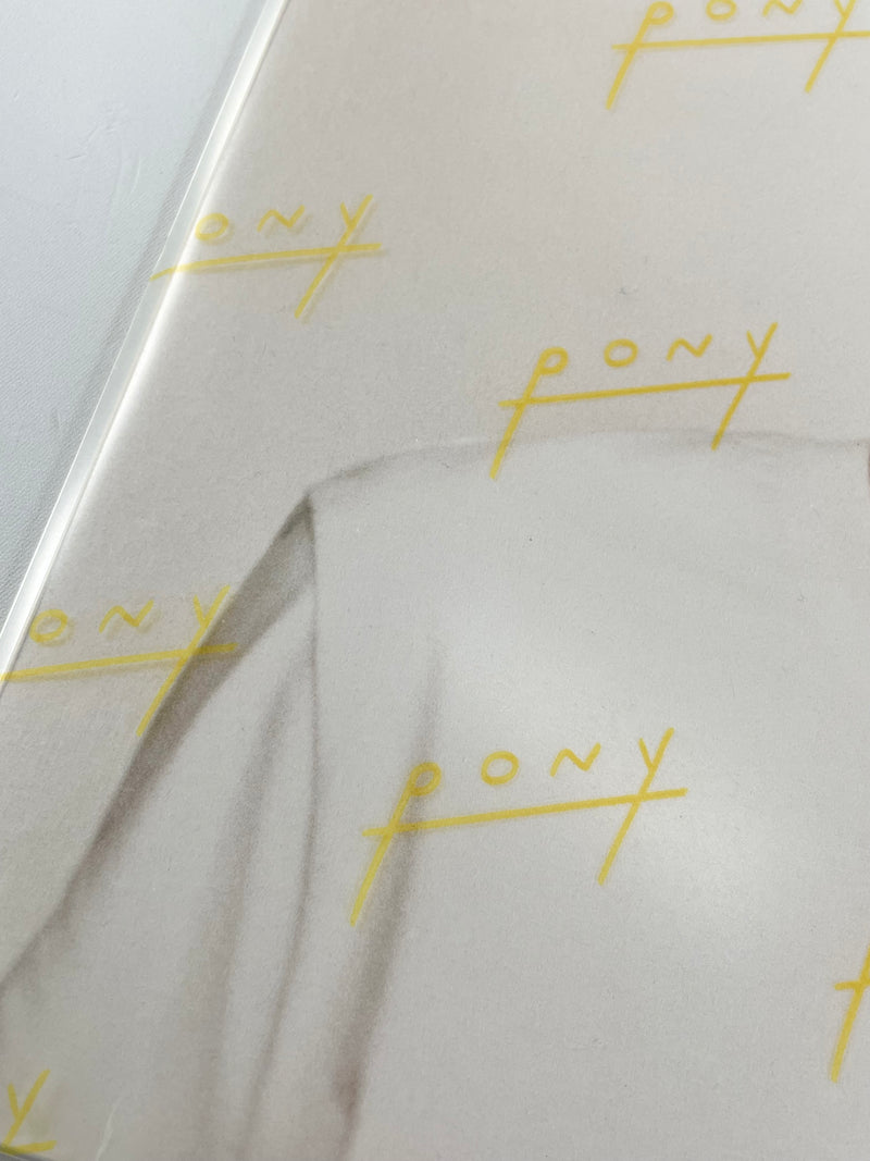 Rex Orange County LP - Pony