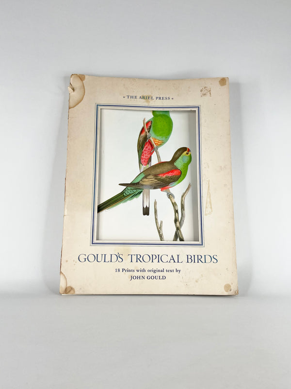 John Gould Vintage Tropical Birds Collection - The Ariel Press