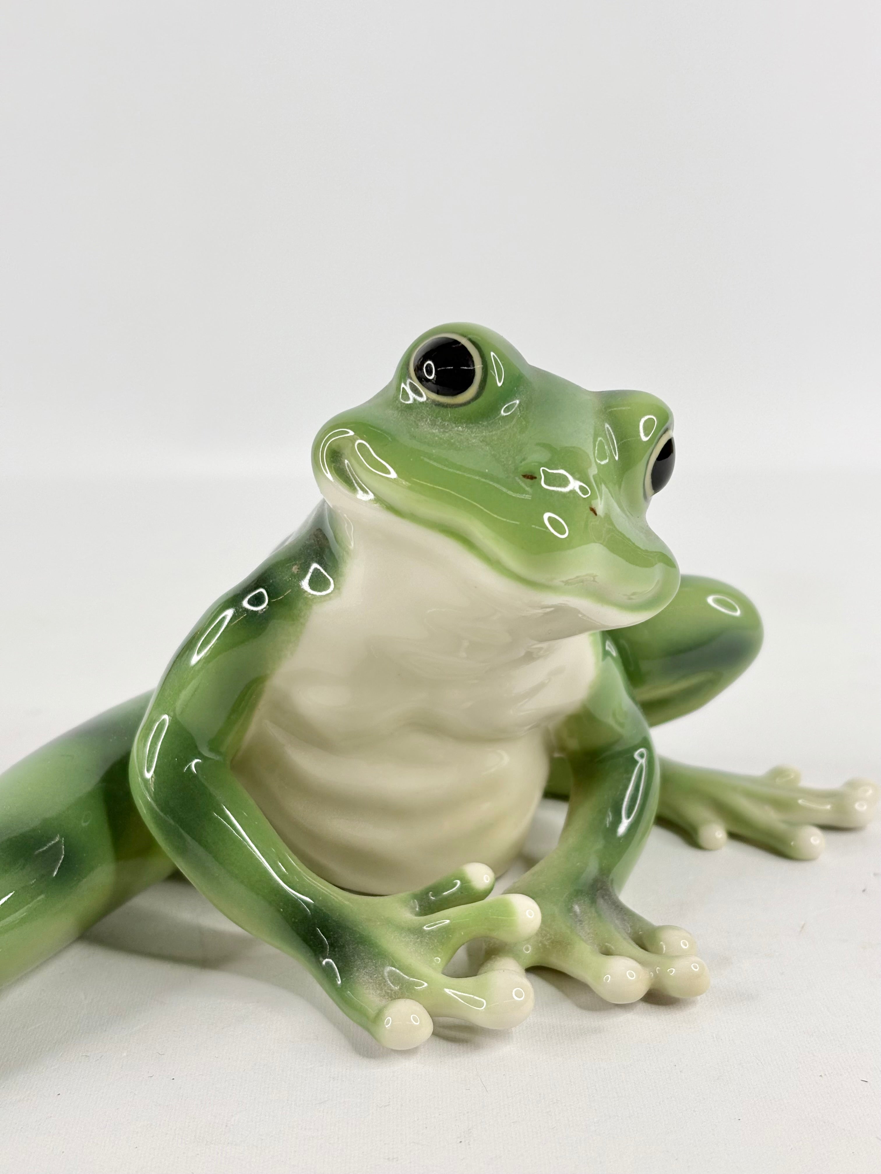 Franz Amphibia Collection 12" Outstretched Frog Figurine