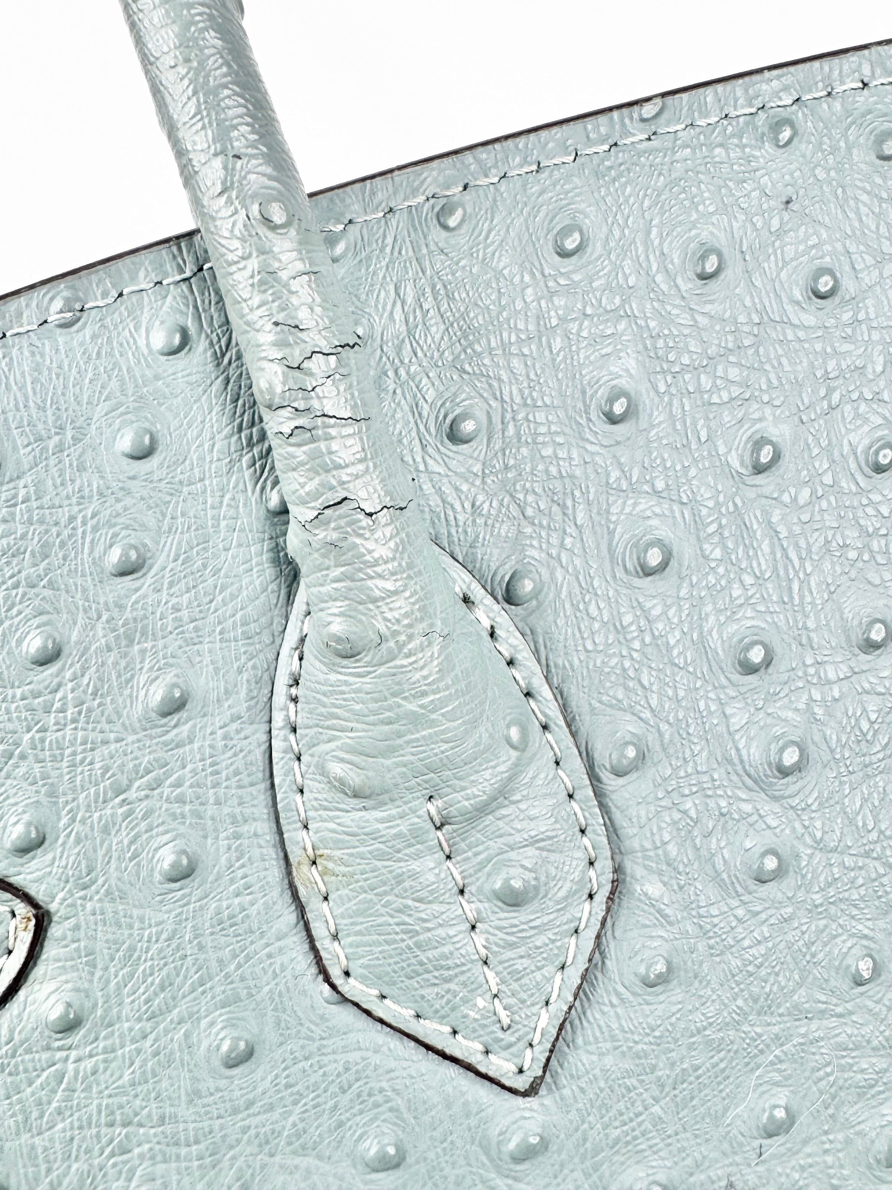 House of Hello Blue Faux Ostrich Texture Leather Bag