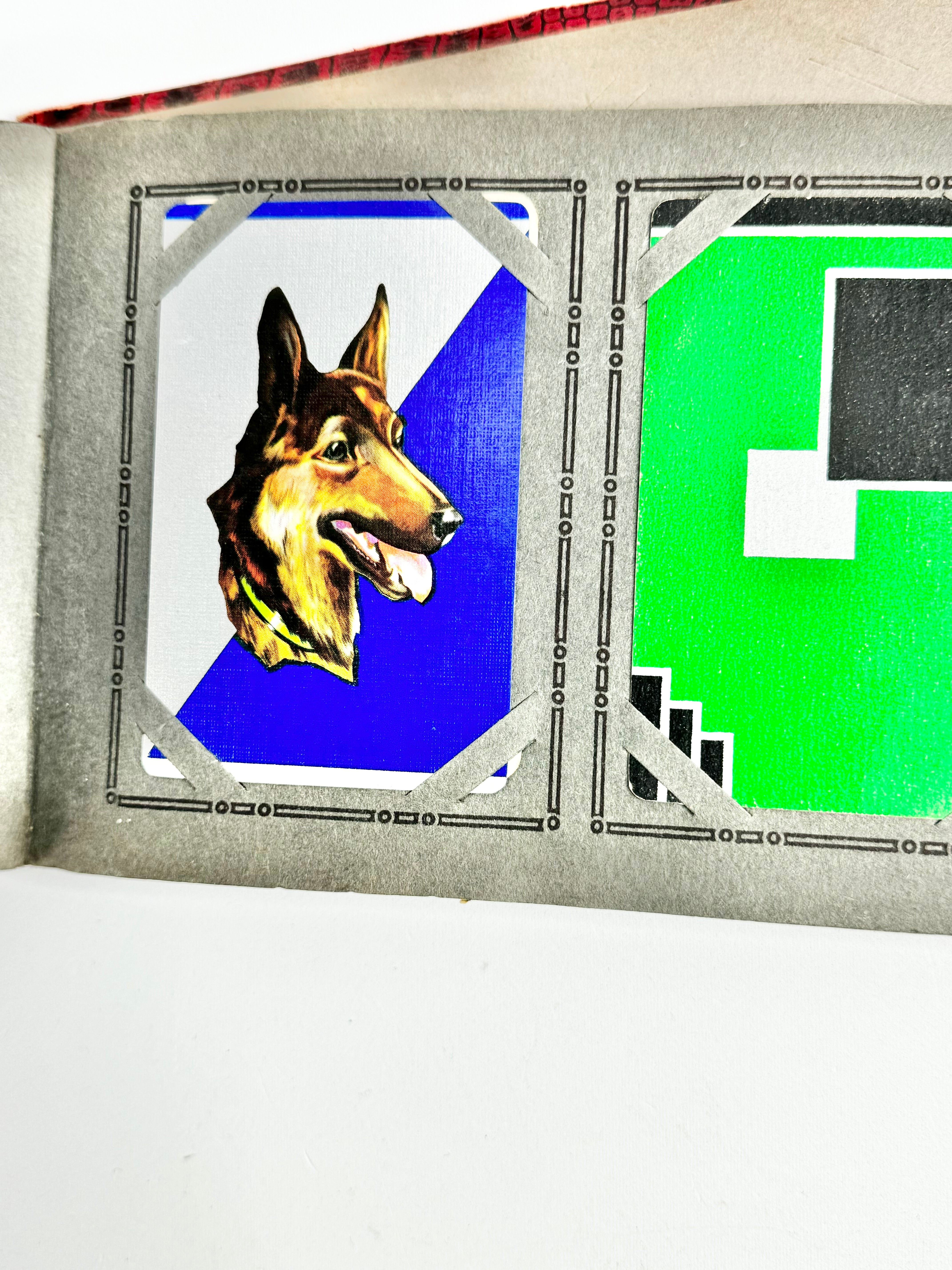 Vintage Playing Card Album