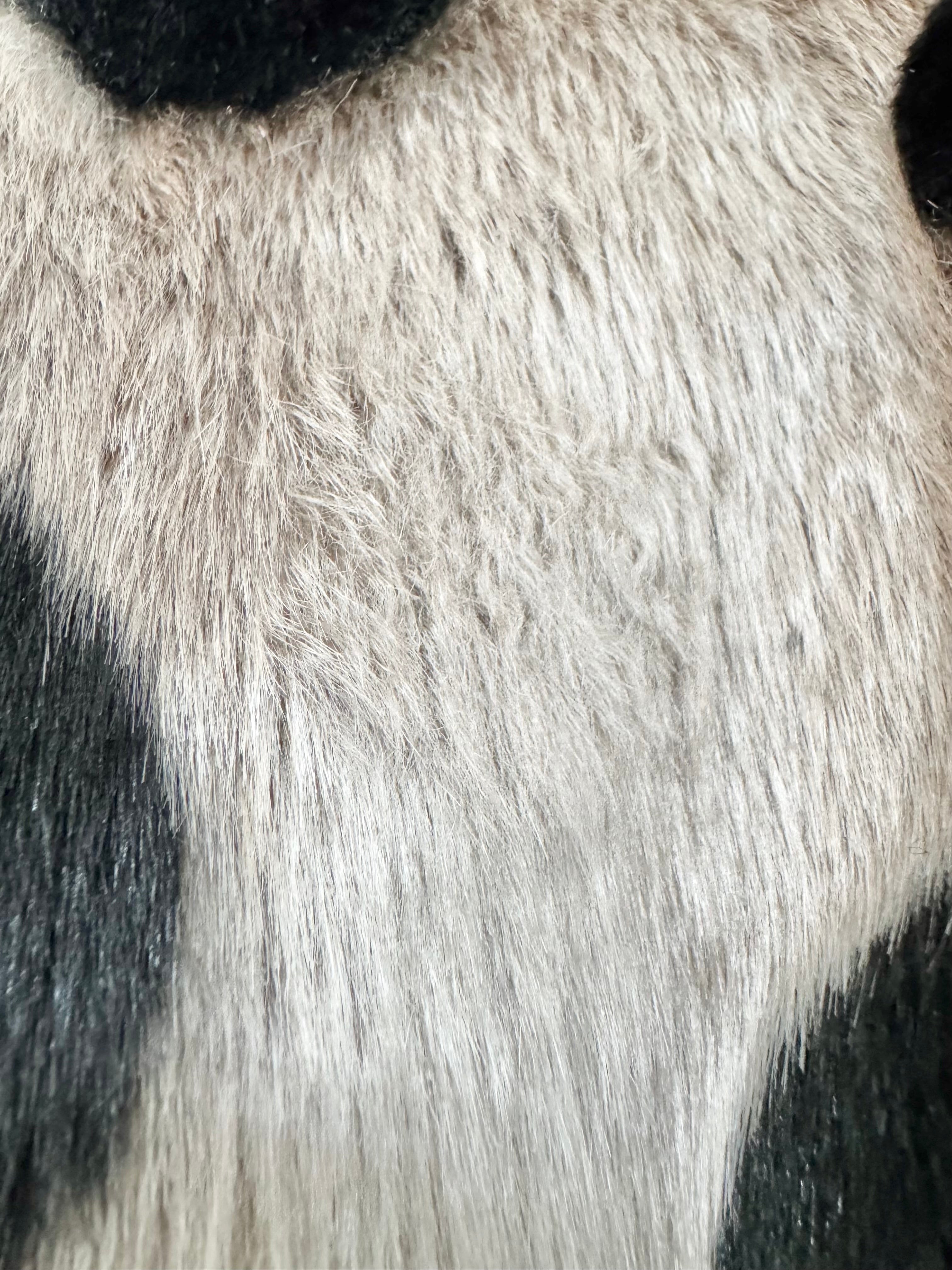 Close-up of a black and white animal's fur