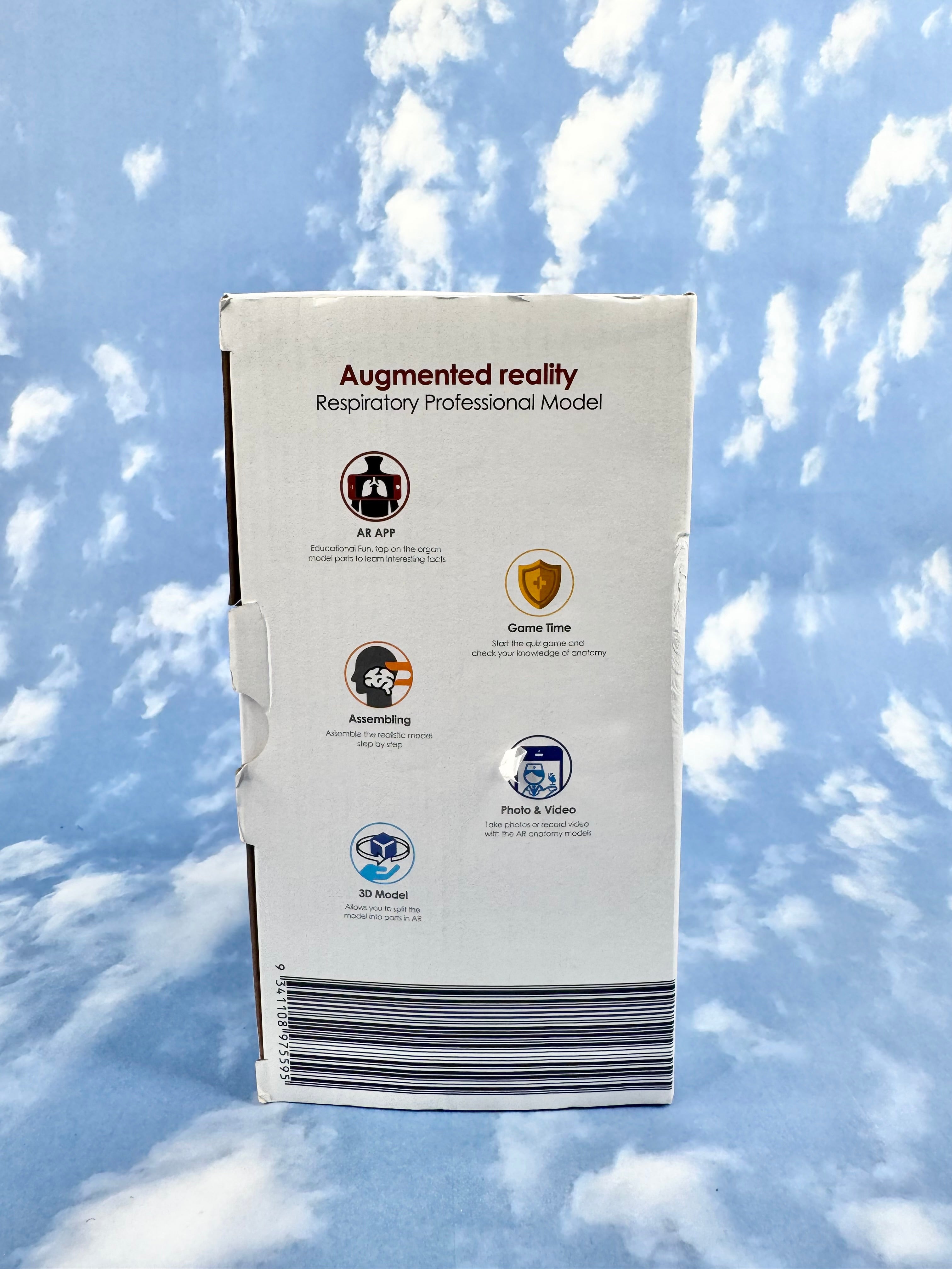 AR Anatomy Professional Respiratory Model