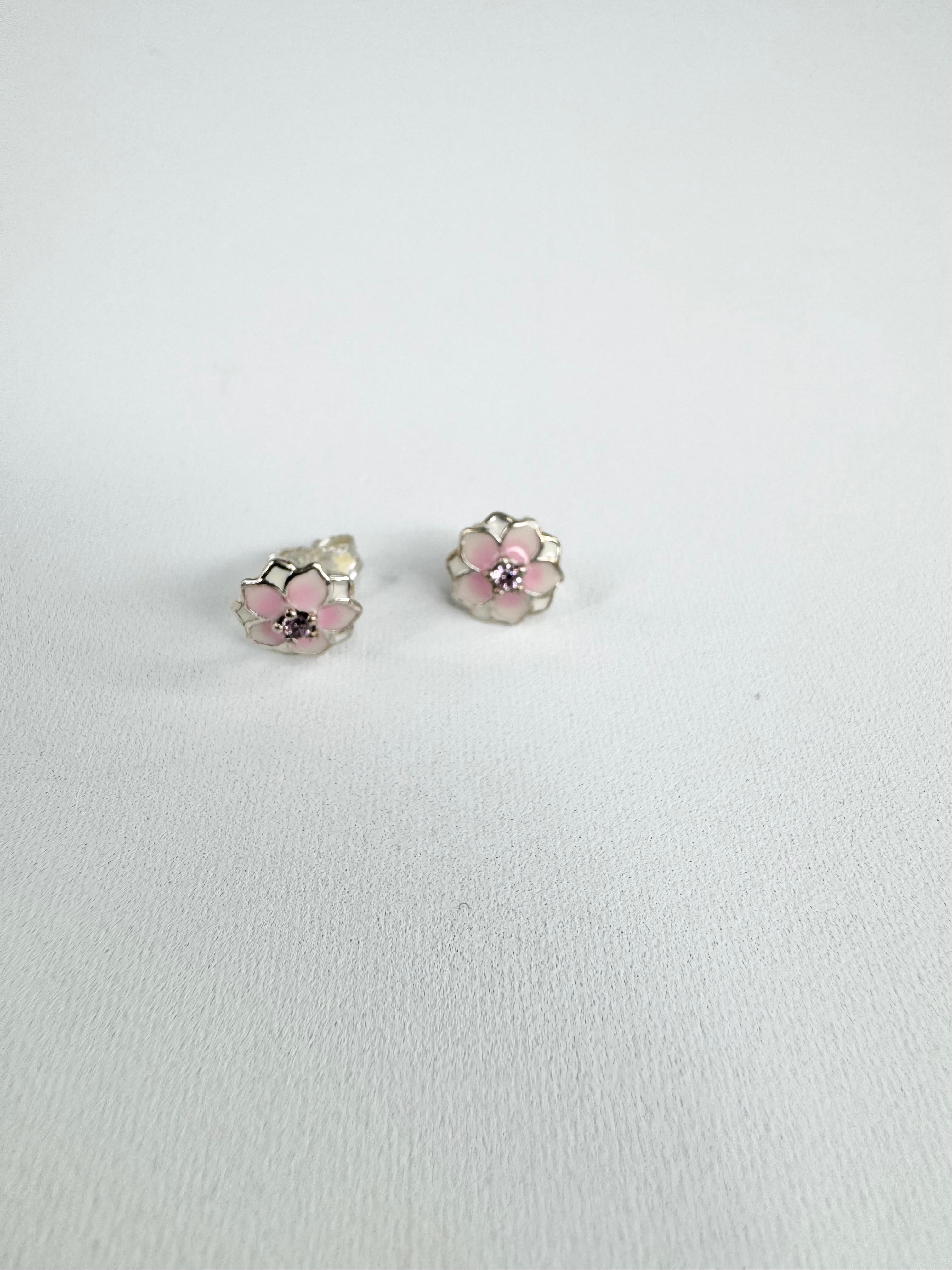 Pandora Earrings & Beads Set