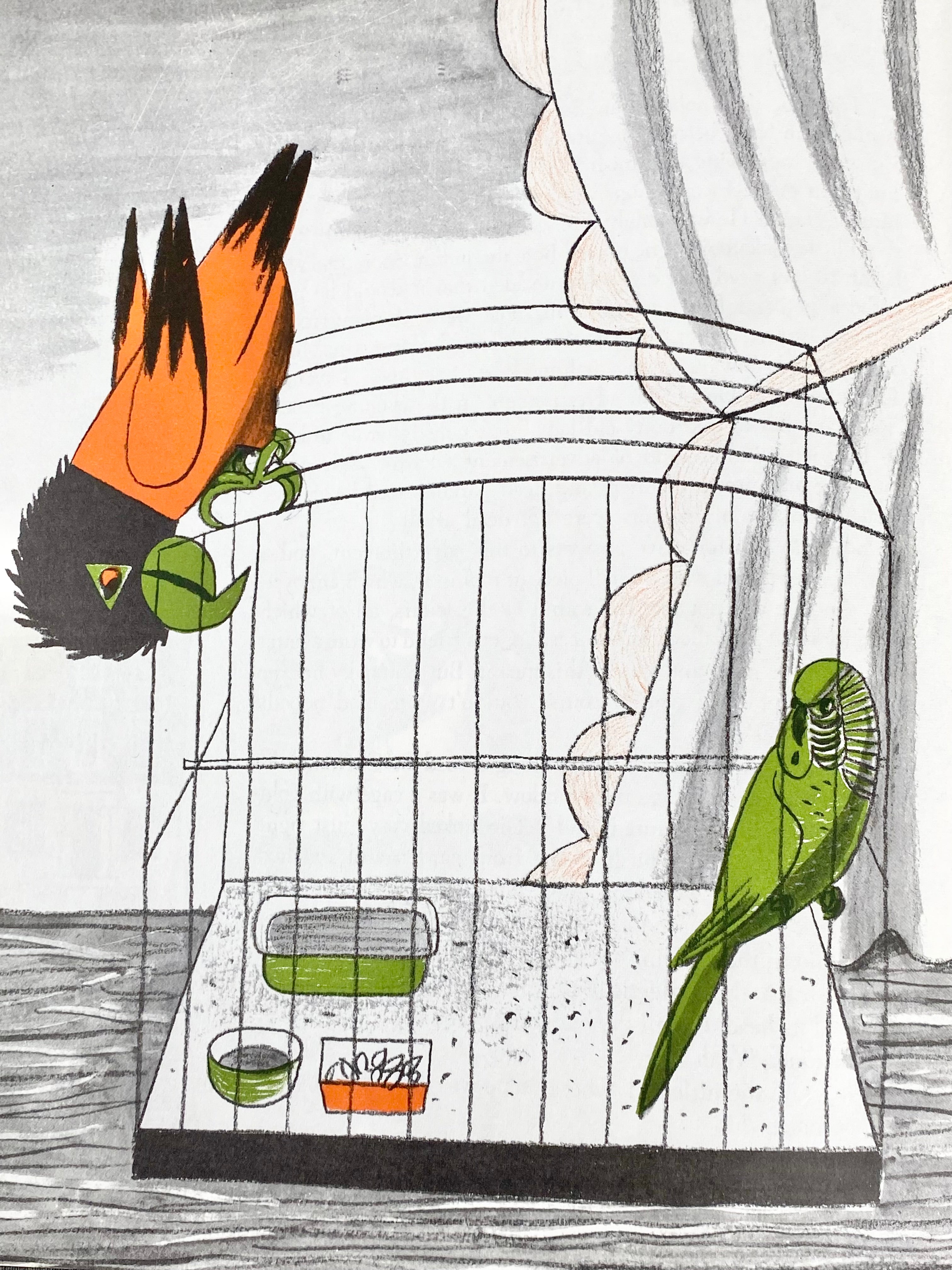 Stephen Potter 'Squawky' Hardcover Children's Book