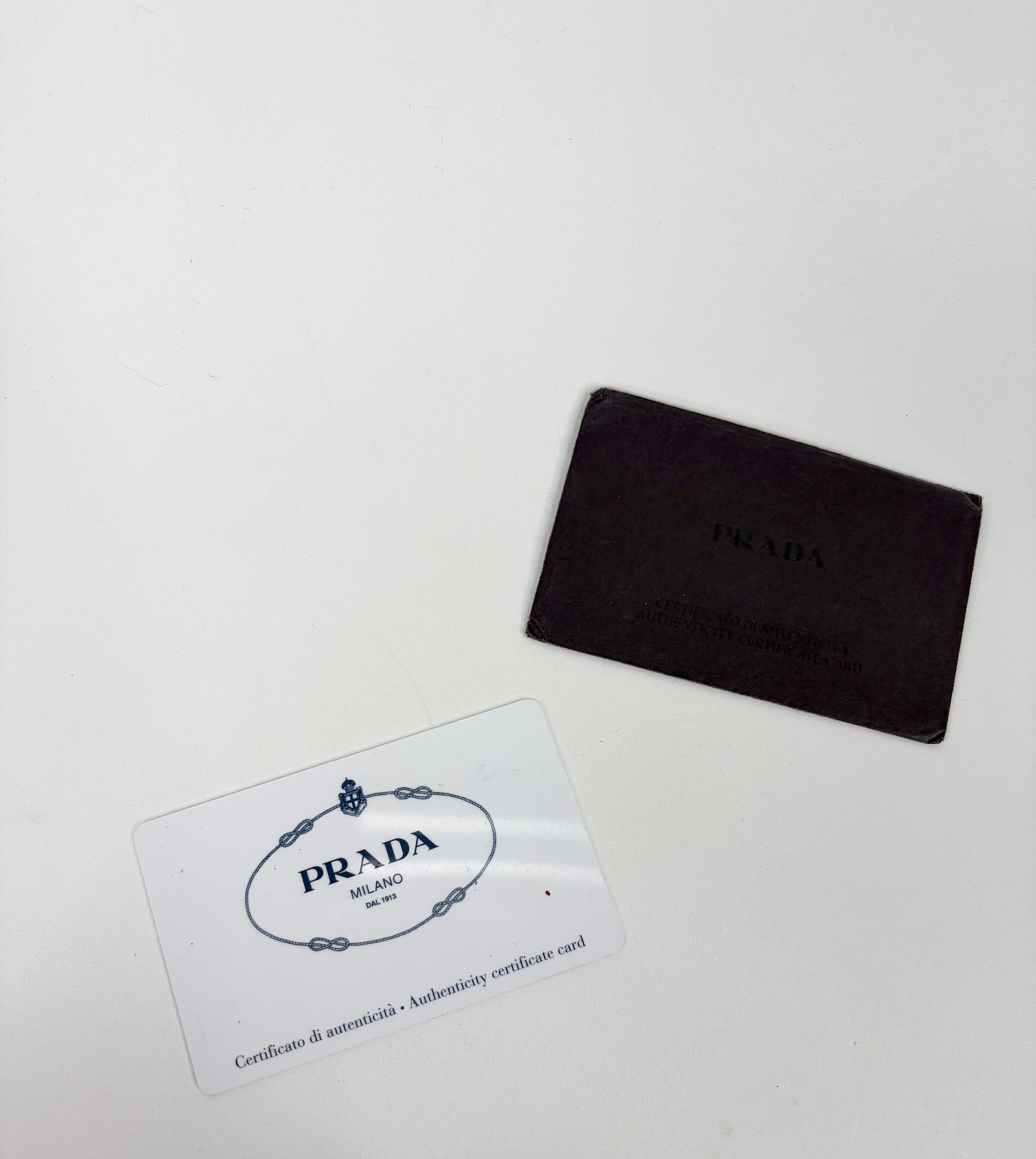 Prada Faun Vitello Diano Hobo Bag