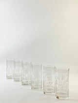 Portmeirion Botanical Etched Hi-Ball Glasses