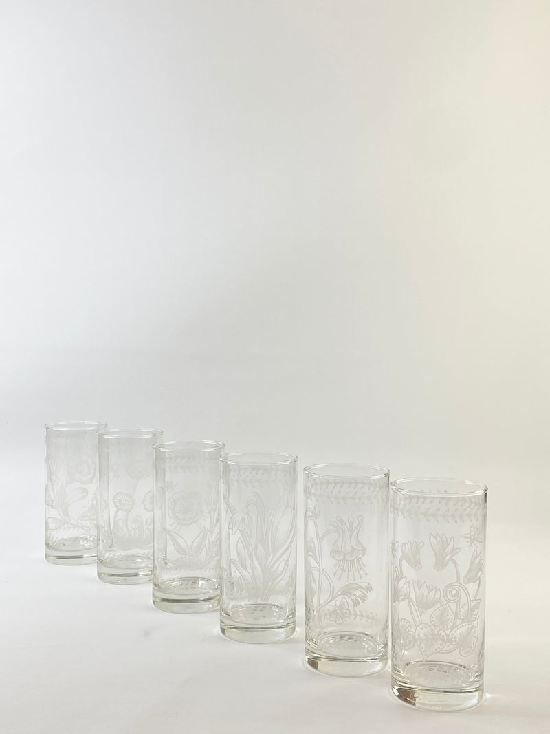 Portmeirion Botanical Etched Hi-Ball Glasses