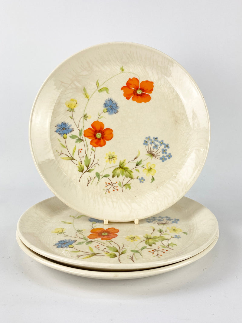 Vintage Johnson of Australia Meadow Flowers Plates