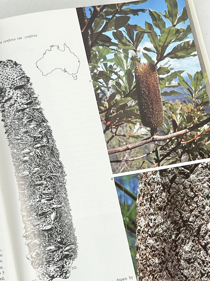 The Banksia Book by Alex S. George